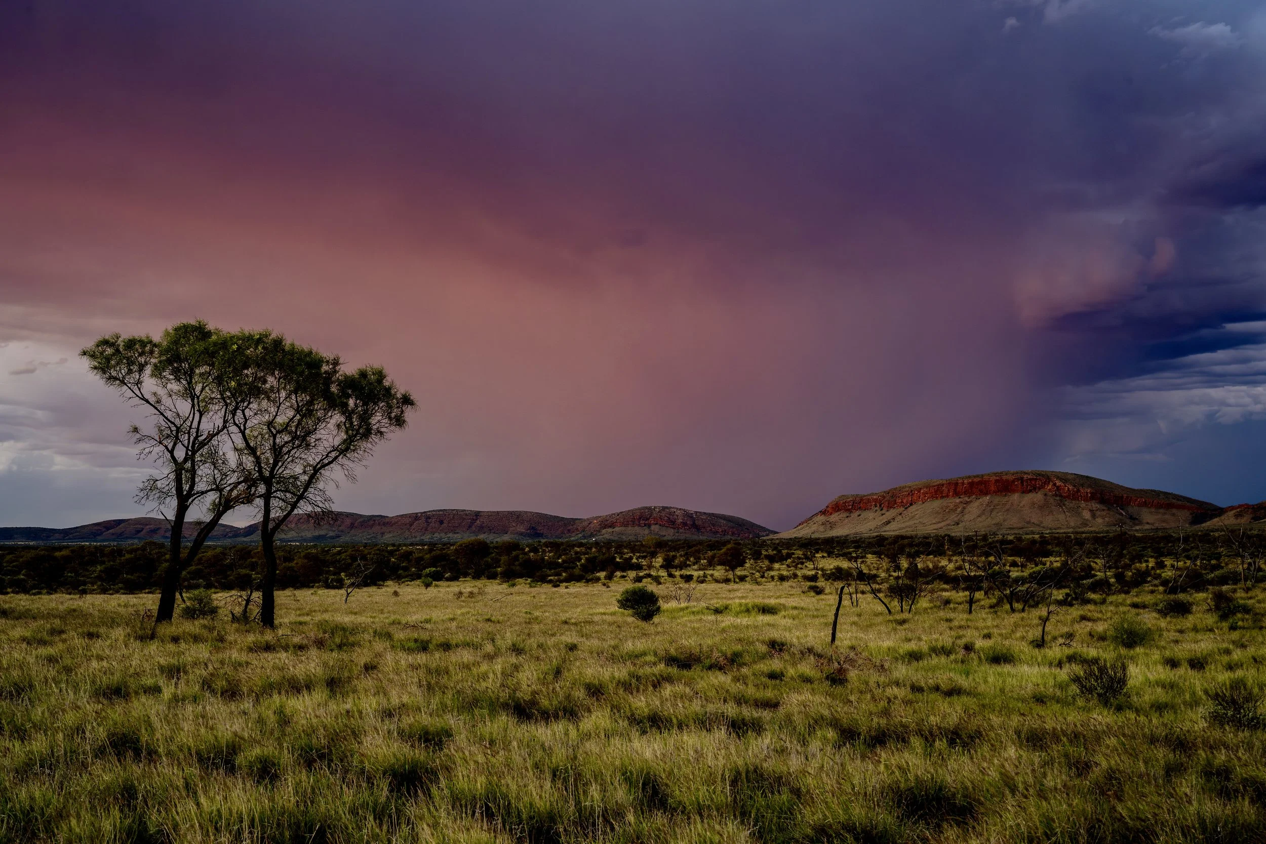 G009- 4th of December 2024 19:08 - View from Giles to the Purli Yurliya (Rawlinson Ranges) with the sunset colouring the showers.