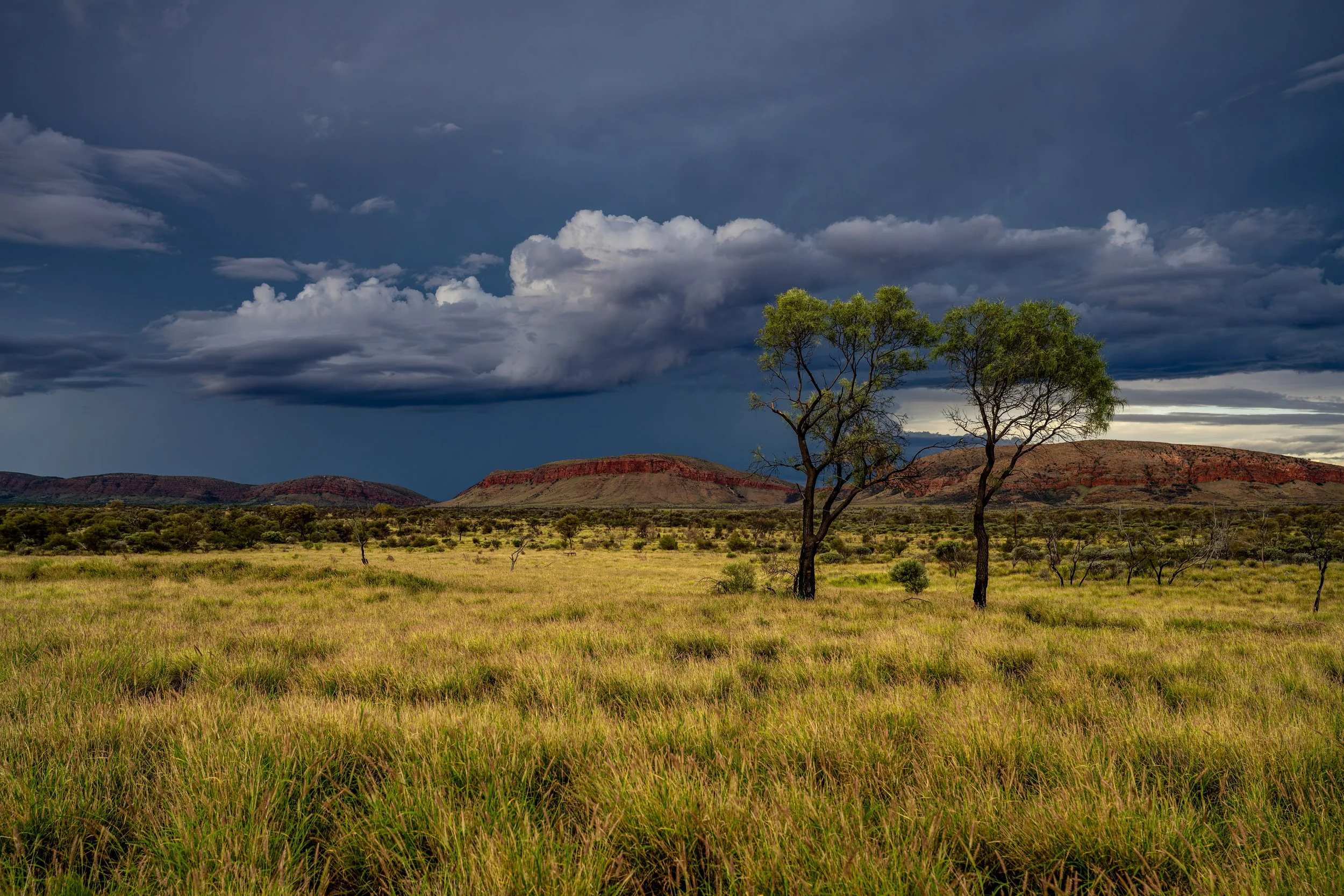 G013- 10th of December 2024 17:38 - Cumulonimbus north of Purli Yurliya (Rawlinson Ranges).