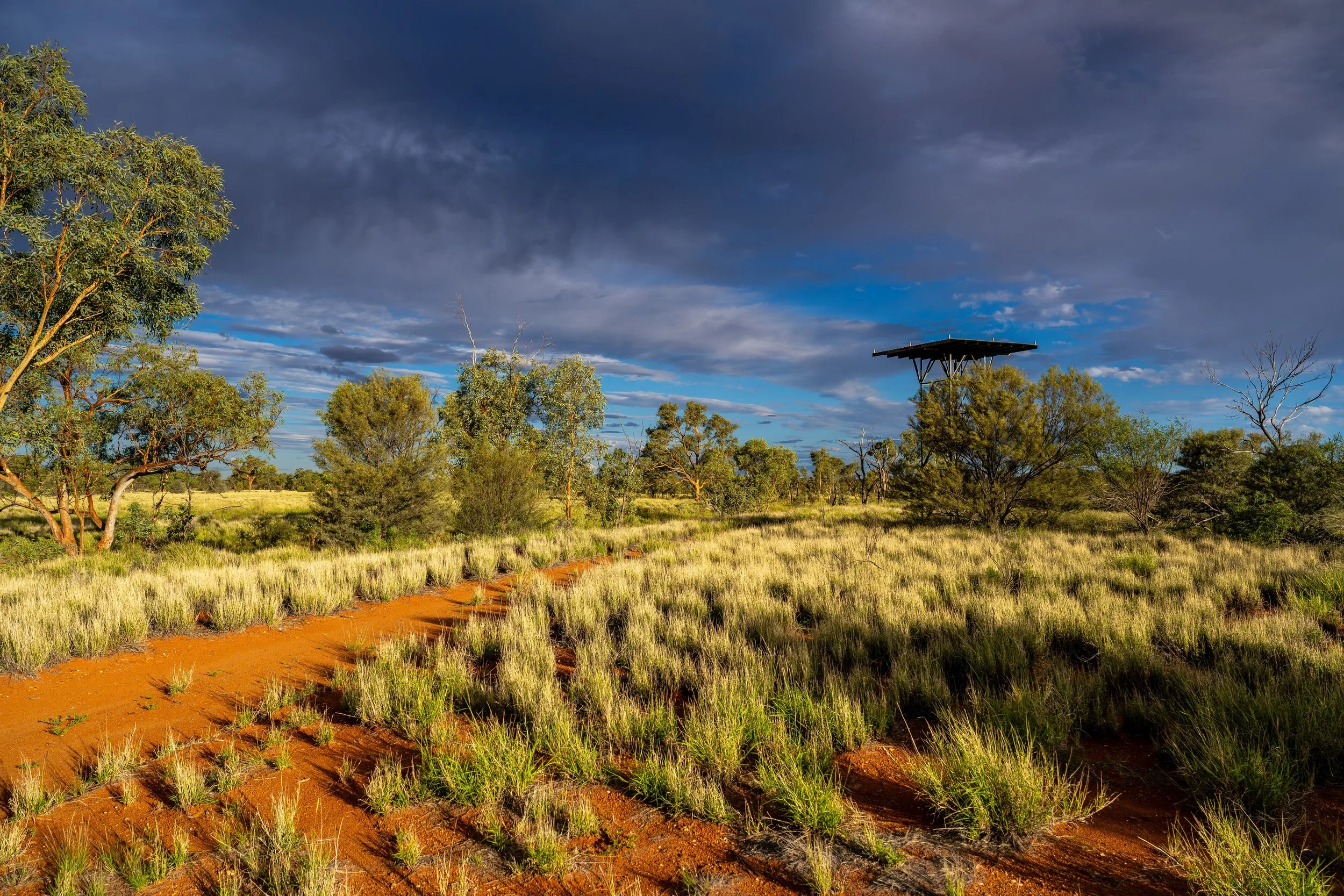 G022- 25th of November 2024 17:54 - View from Giles Bore which is about 2km north of the station