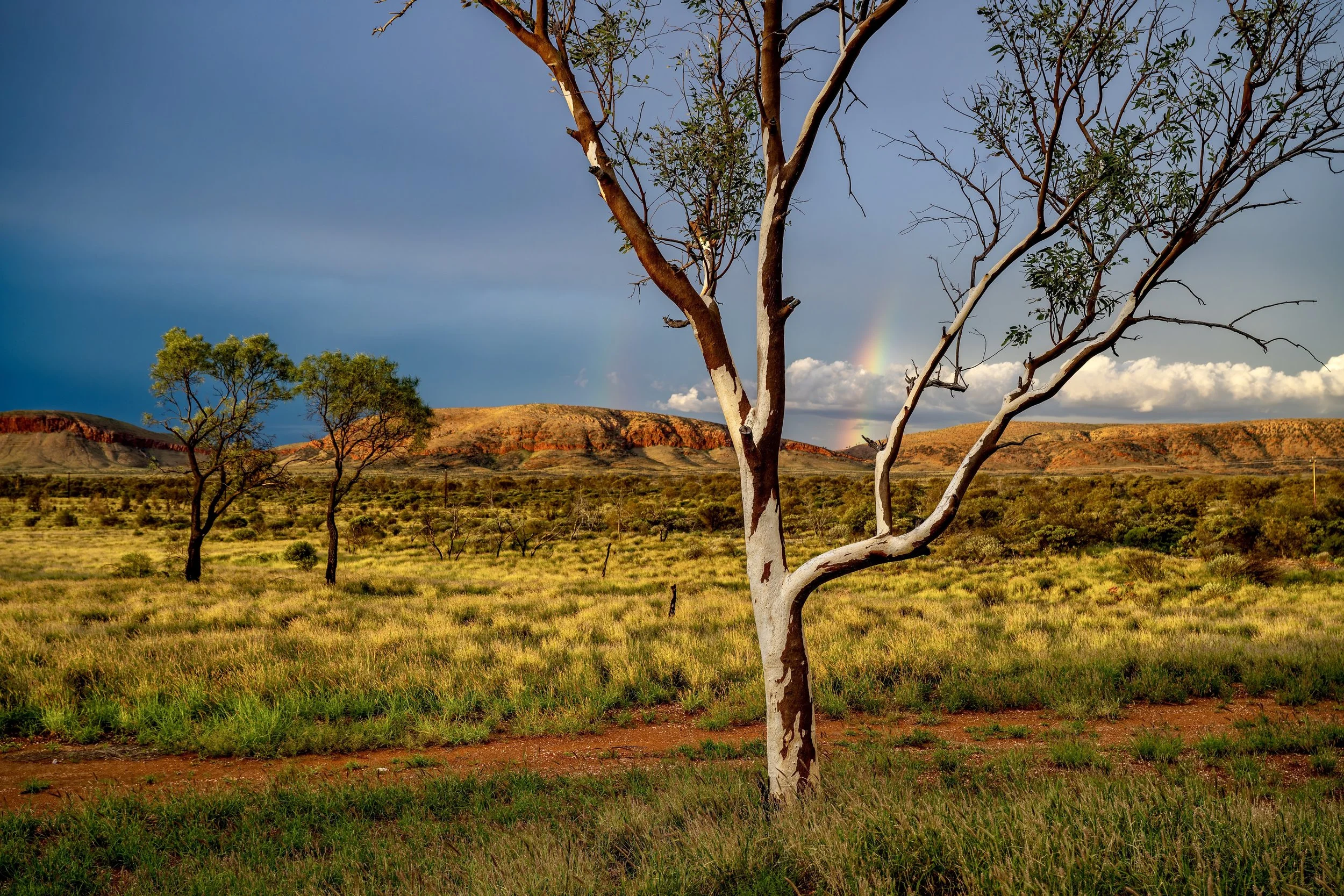 G033- 10th of December 2024 18:47 - Golden hour light with showers and a rainbow  north of Purli Yurliya (Rawlinson Ranges).