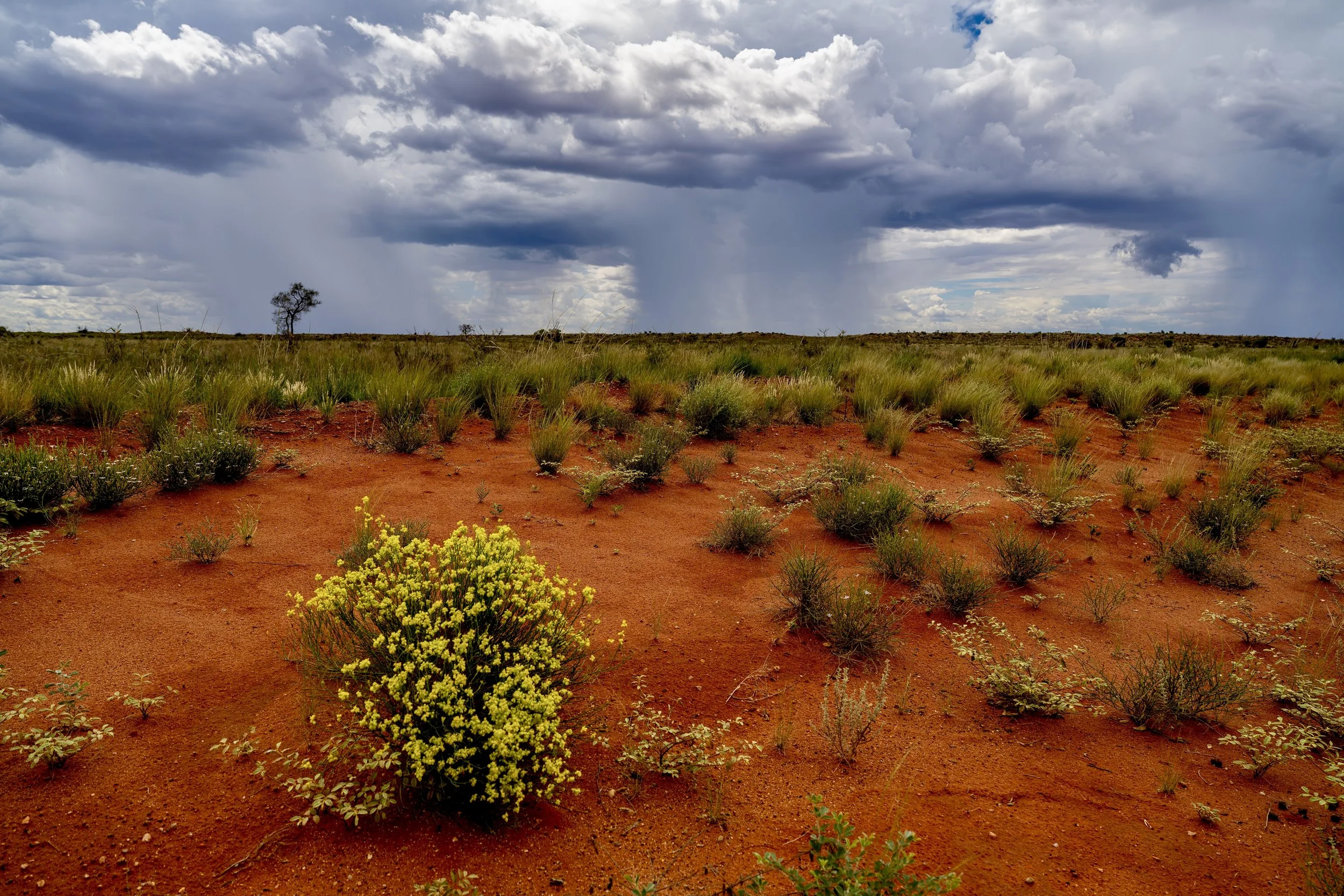 G035- 14th of December 2024 13:41 - Storms to the west of the road to Irruntju (Wingellina)