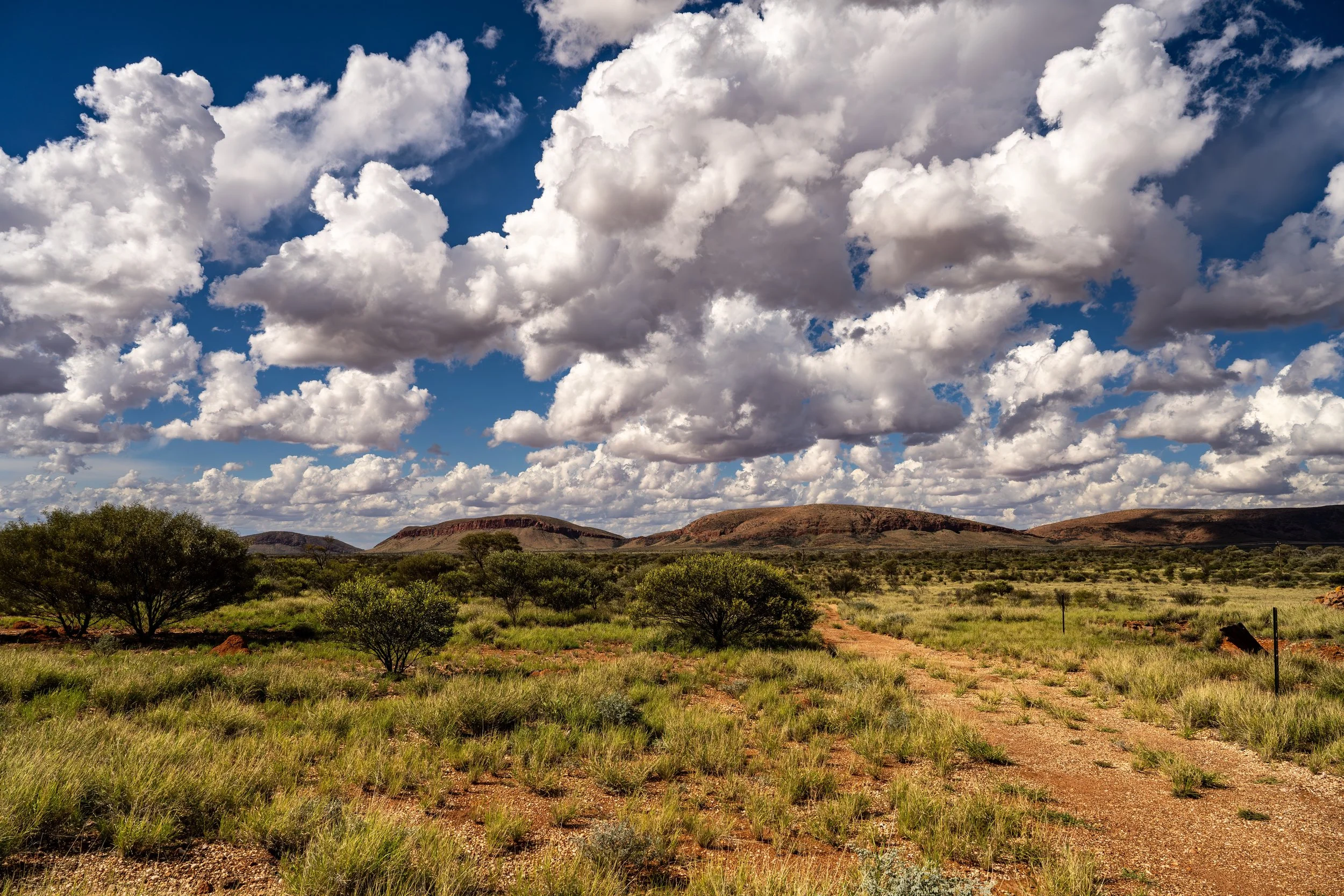 G042- 26th of November 2024 15:42 - Afternoon build up of cumulus cloud - view from Giles to the north Purli Yurliya (Rawlinson Ranges) 