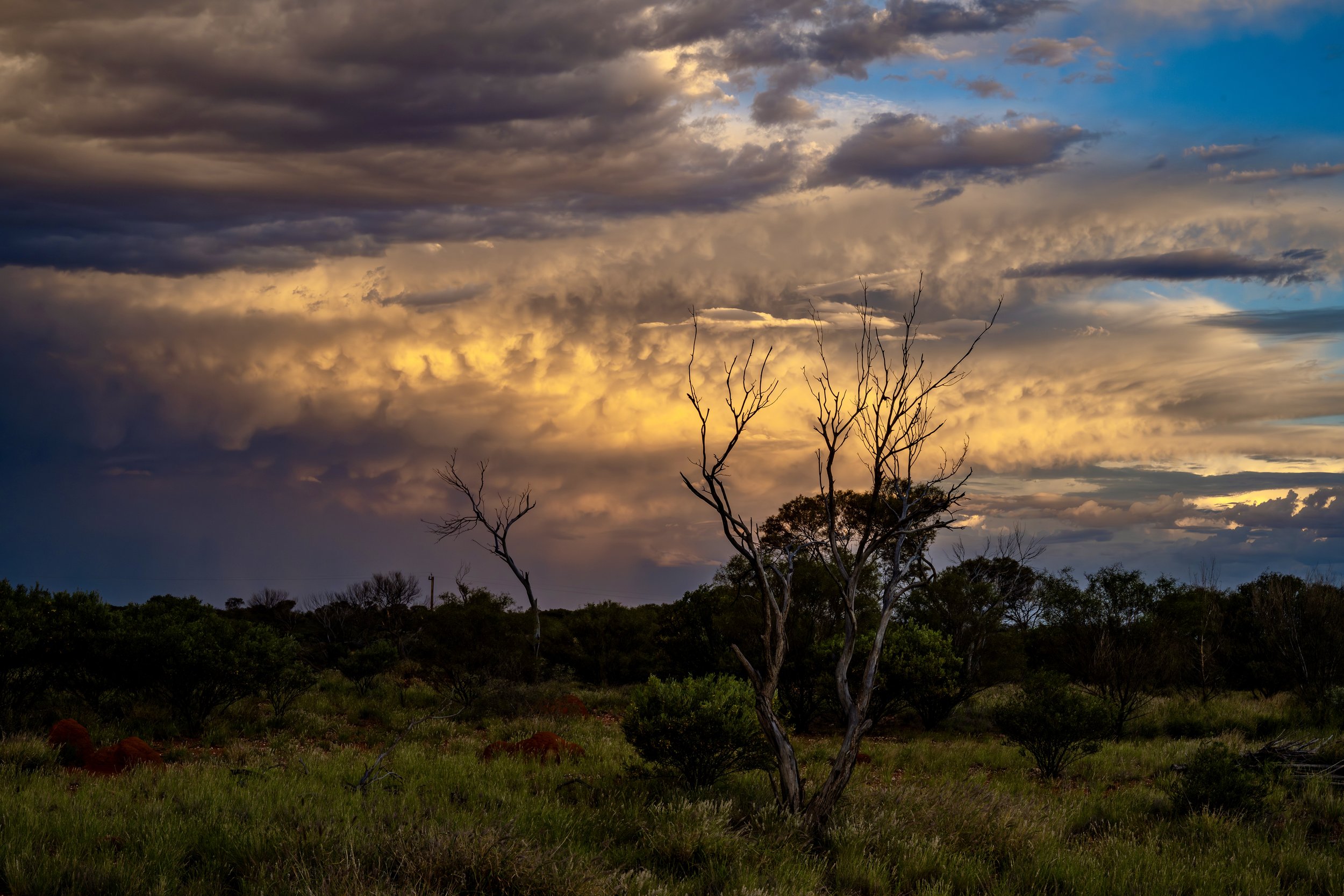 G046 - 4th of December 2024 18:56 - Mid-level Mammatus clouds at sunset to the east. 