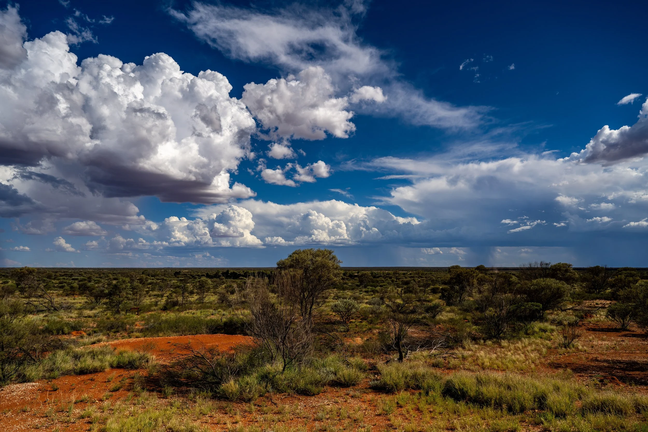 049- 5th of December 2024 15:47 - Afternoon build up of cumulus cloud - view from Giles to the east.