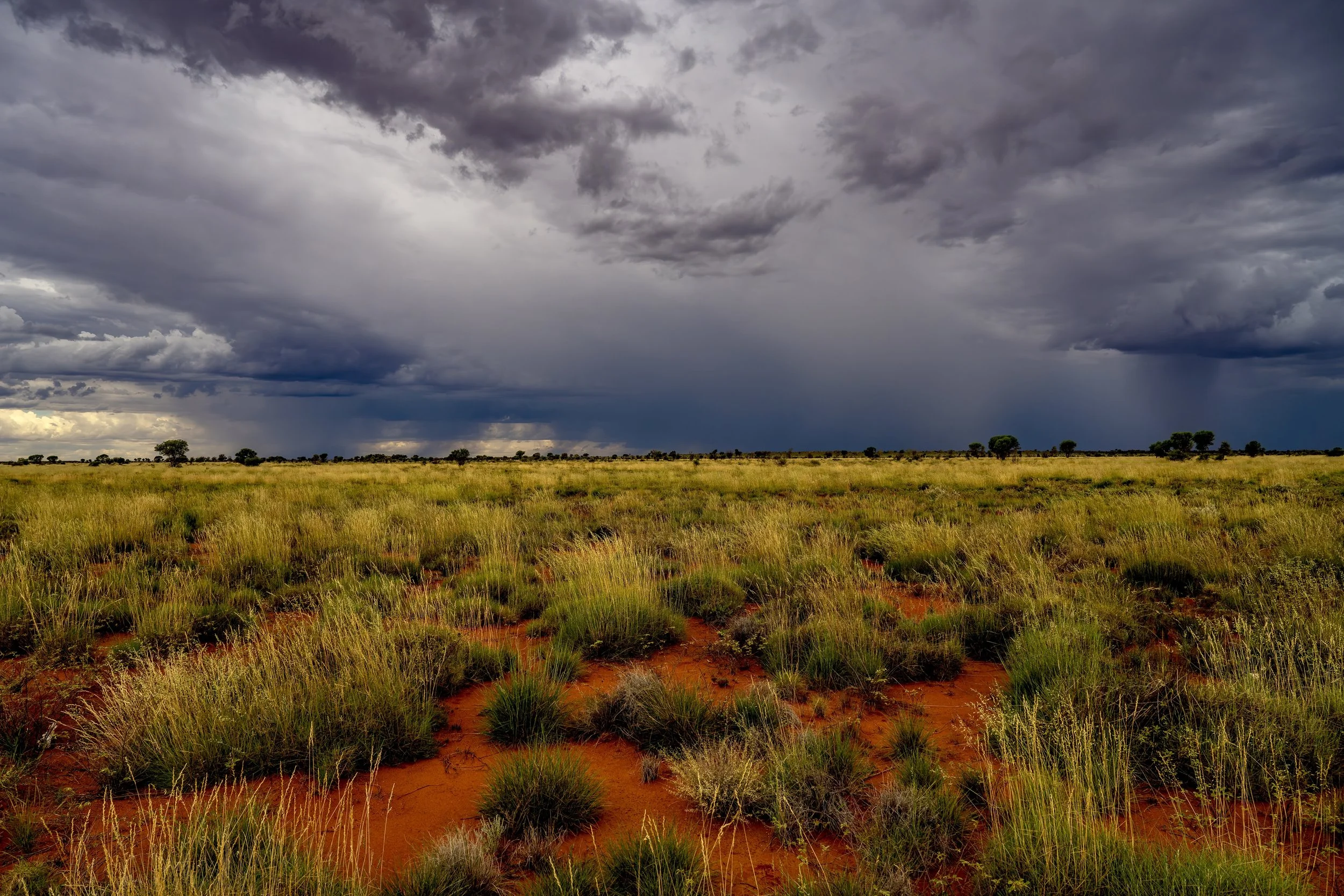 G053- 14th of December 2024 12:59 - Storms to the west of the road to Irruntju (Wingellina)