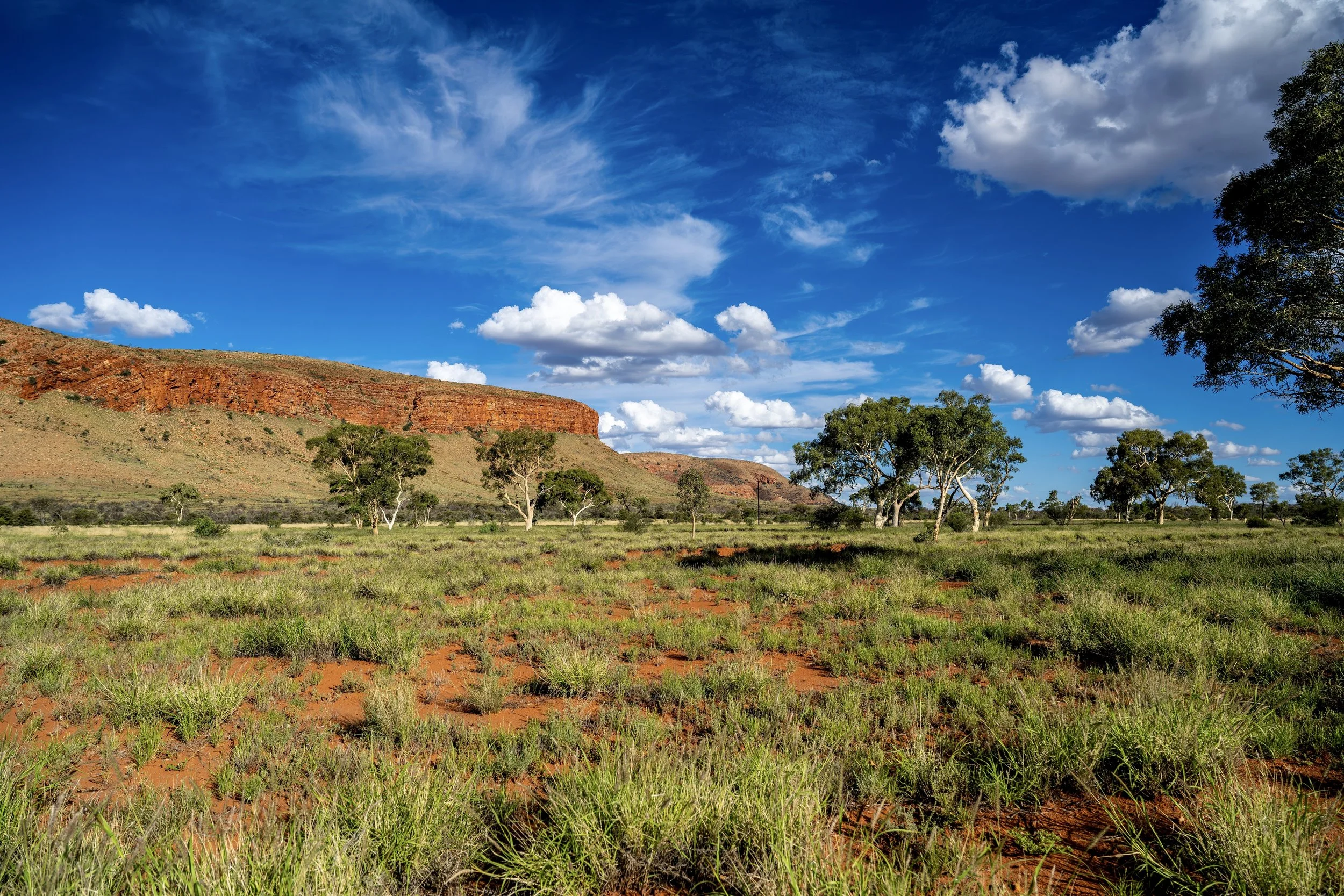 G062- 28th of November 2024 17:15 - View of Purli Yurliya (Rawlinson Ranges) with cirrus and cumulus cloud