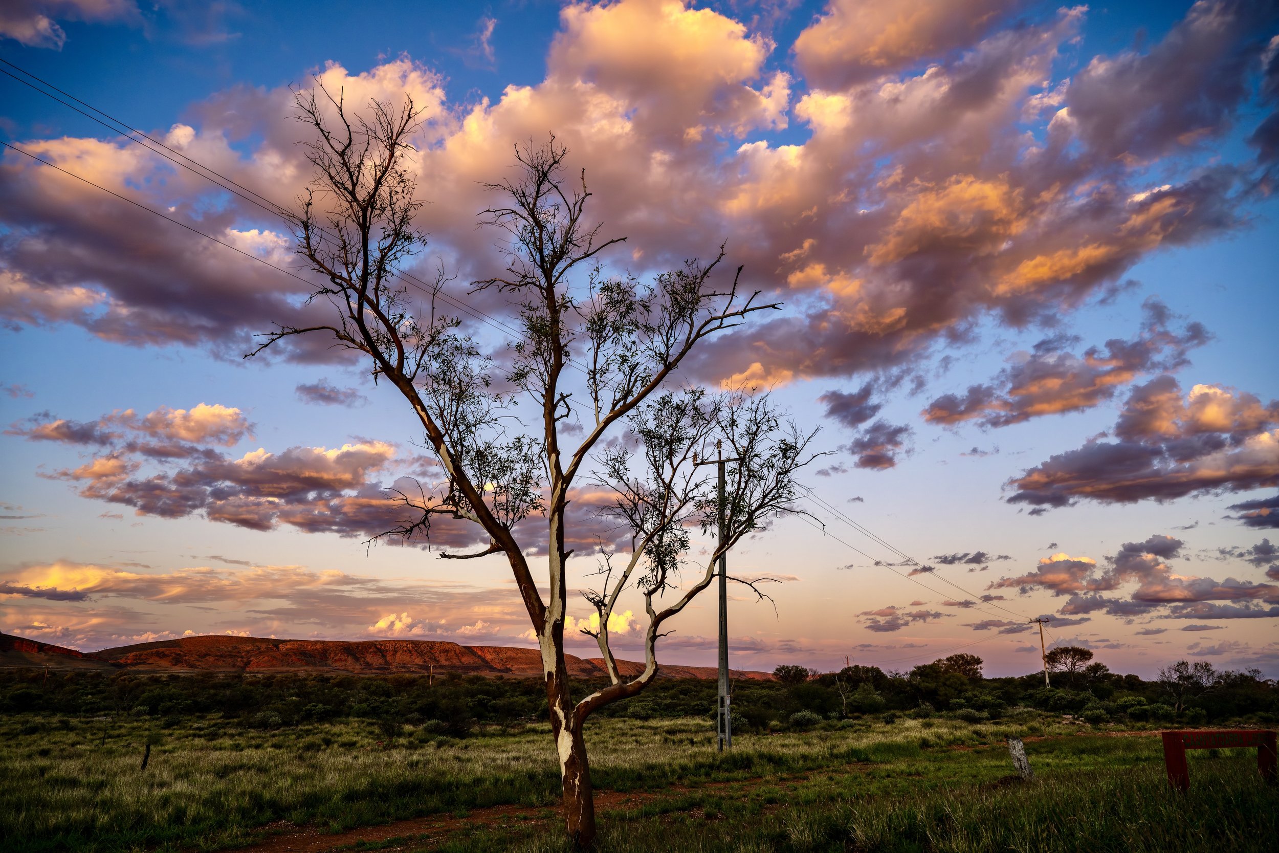 G063- 28th of November 2024 18:57 - 'Cloud tree' - Sunset view of to the north resulting in a red glow  Purli Yurliya (Rawlinson Ranges) with cirrus and cumulus cloud