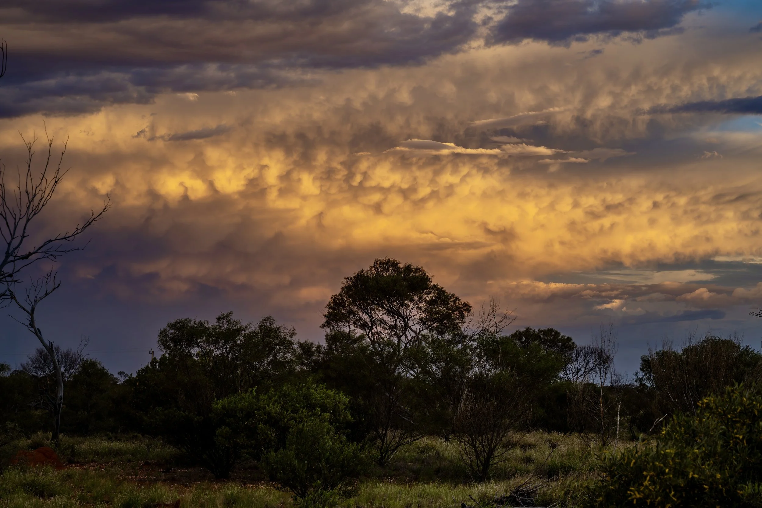 G066 - 4th of December 2024 18:57- Mid-level Mammatus clouds at sunset to the east. 