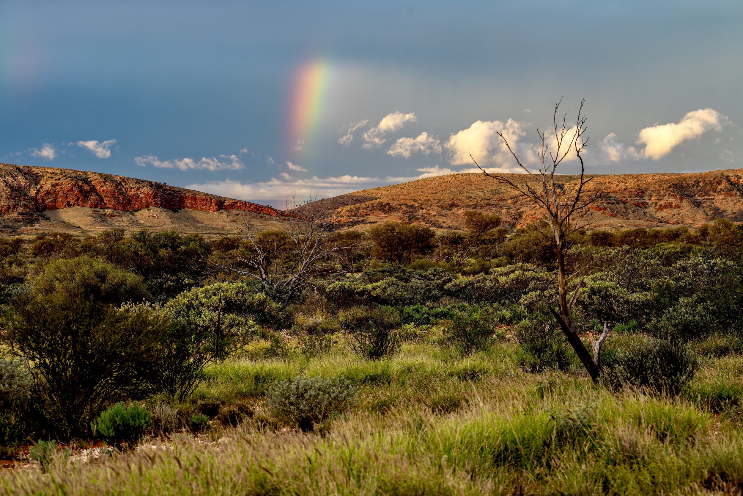 G091- 10th of December 2024 18:54 - Golden hour light with showers and a rainbow north of Purli Yurliya (Rawlinson Ranges).