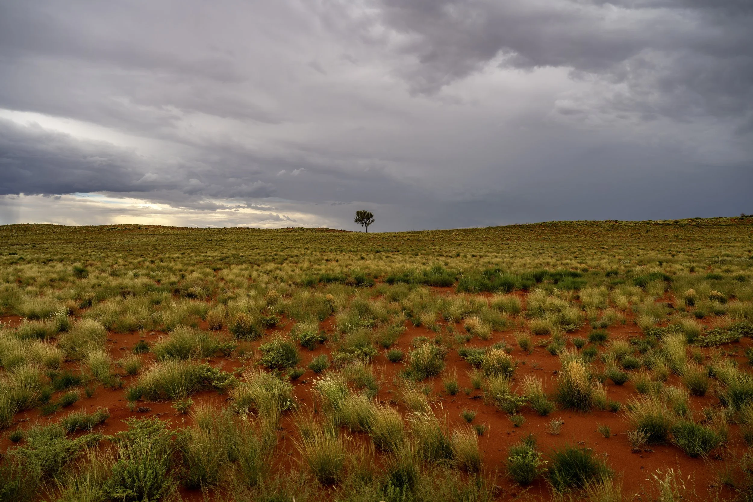 G092- 14th of December 2024 13:14 - Storms to the south of the road to Irruntju (Wingellina)