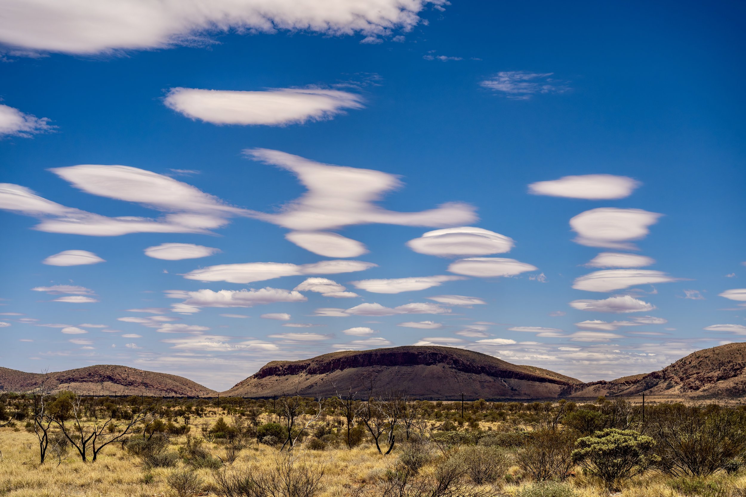 G098 -1st of January  2025 11:06 - Lenticular cloud over Purli Yurliya (Rawlinson Ranges).