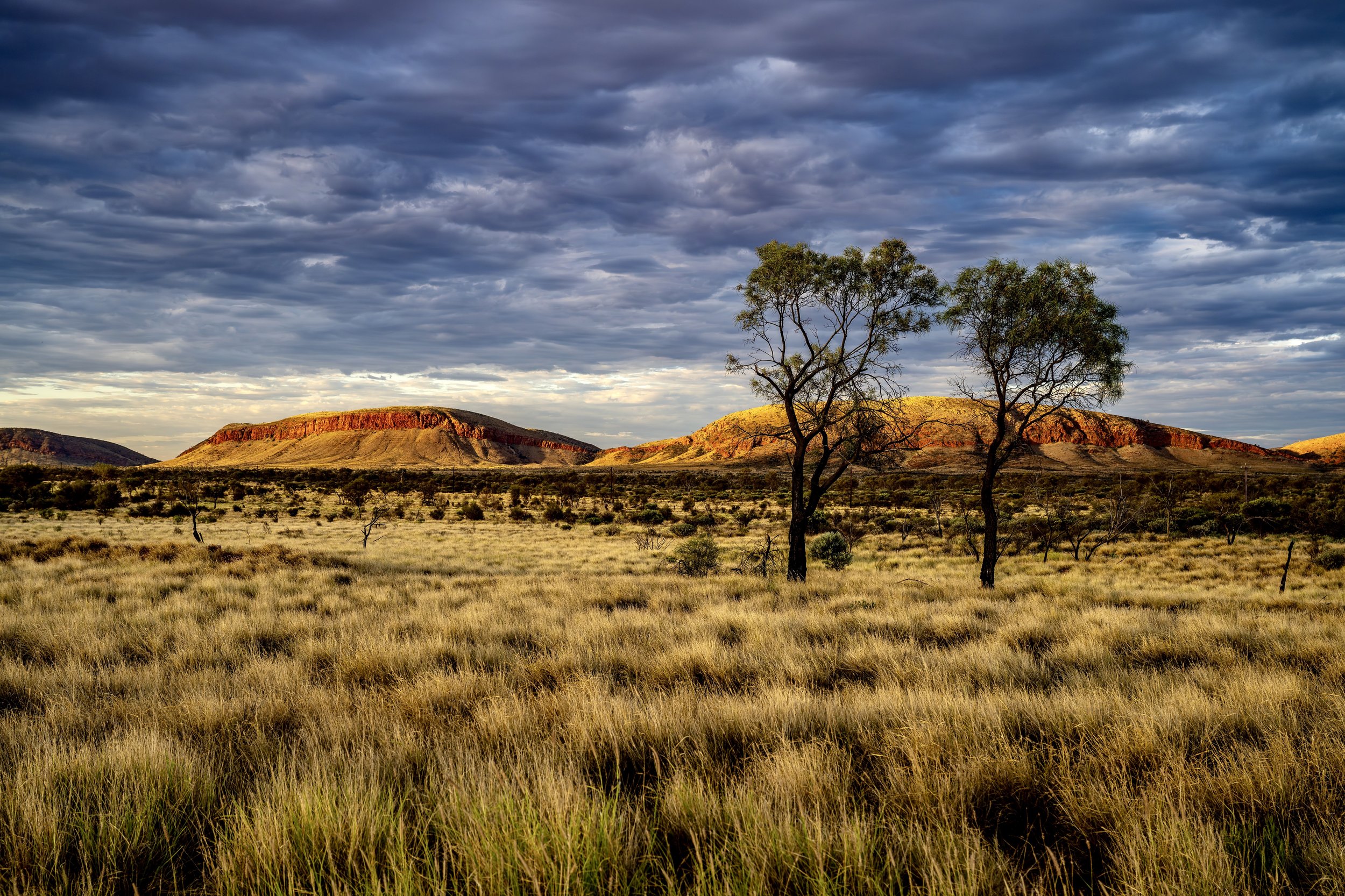 G101 -5th of January  2025 17:48 - Golden hour cloud over Purli Yurliya (Rawlinson Ranges).