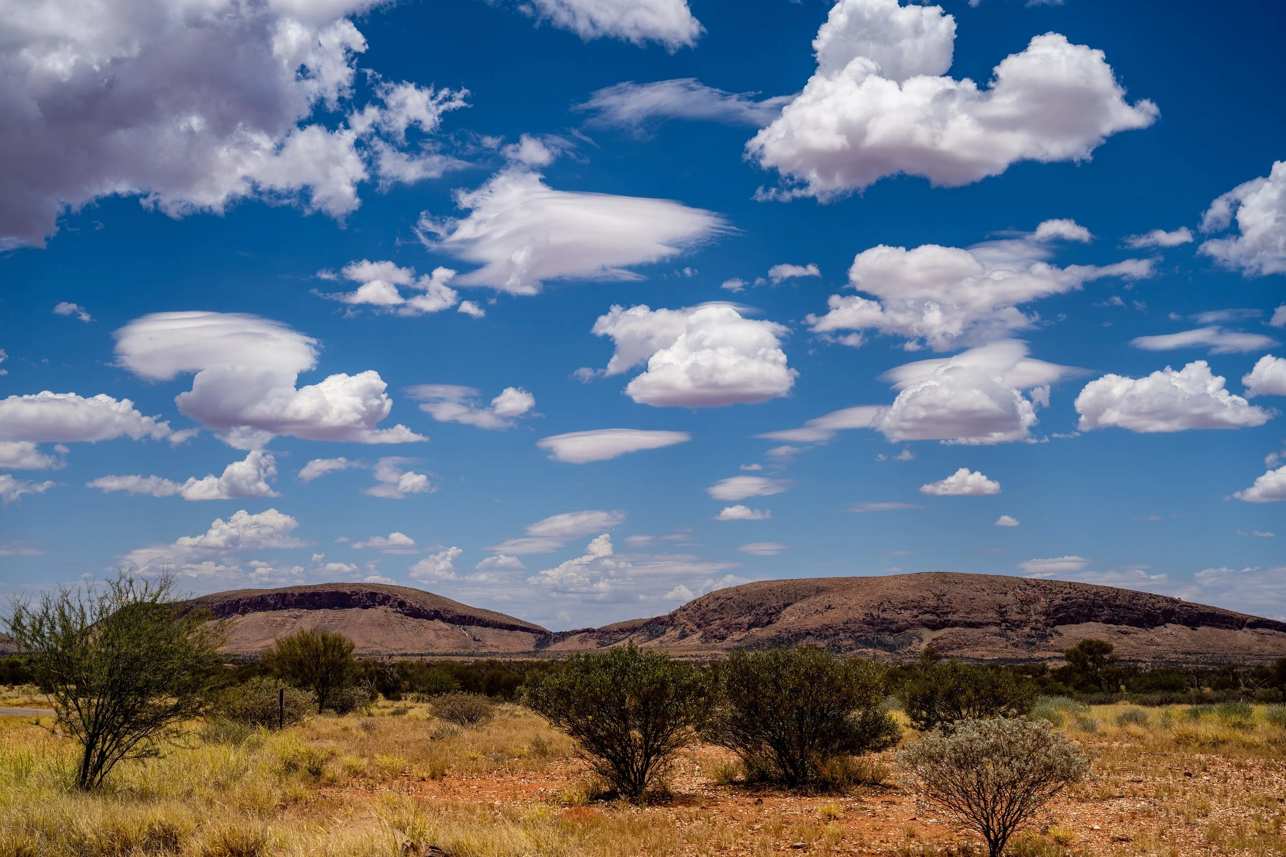 G105 -8th of January  2025 11:44 - High based cumulus and lenticular cloud over Purli Yurliya (Rawlinson Ranges).