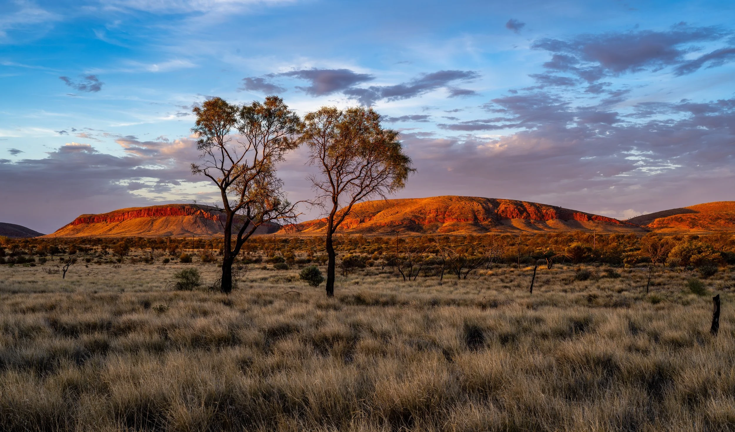G111 -23rd of January  2025 18:12 - Golden hour cloud over Purli Yurliya (Rawlinson Ranges).