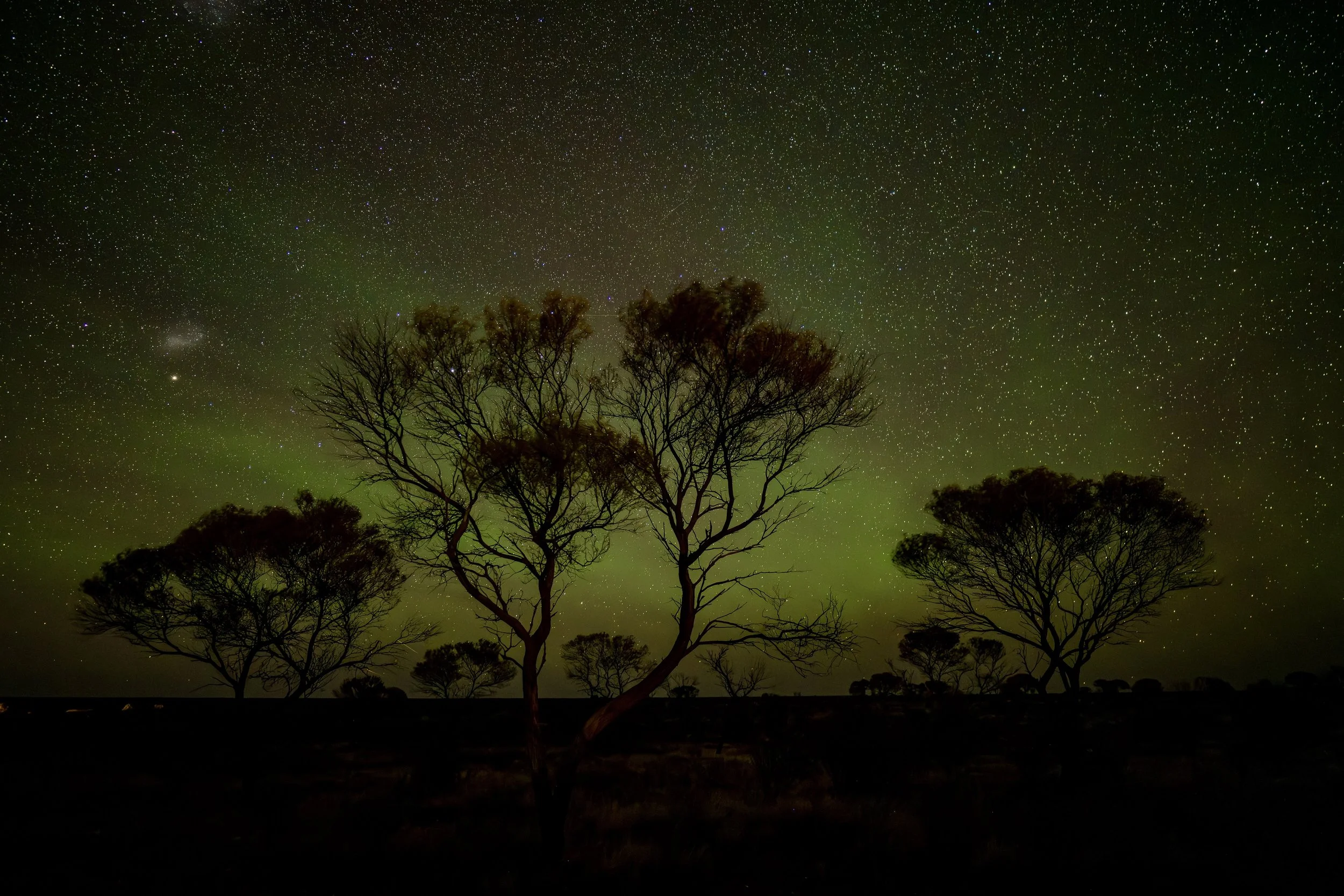 G115 -1st of February  2025 22:44 - Night shot of green air glow to the south - ISO 1000 f/1.8 15sec