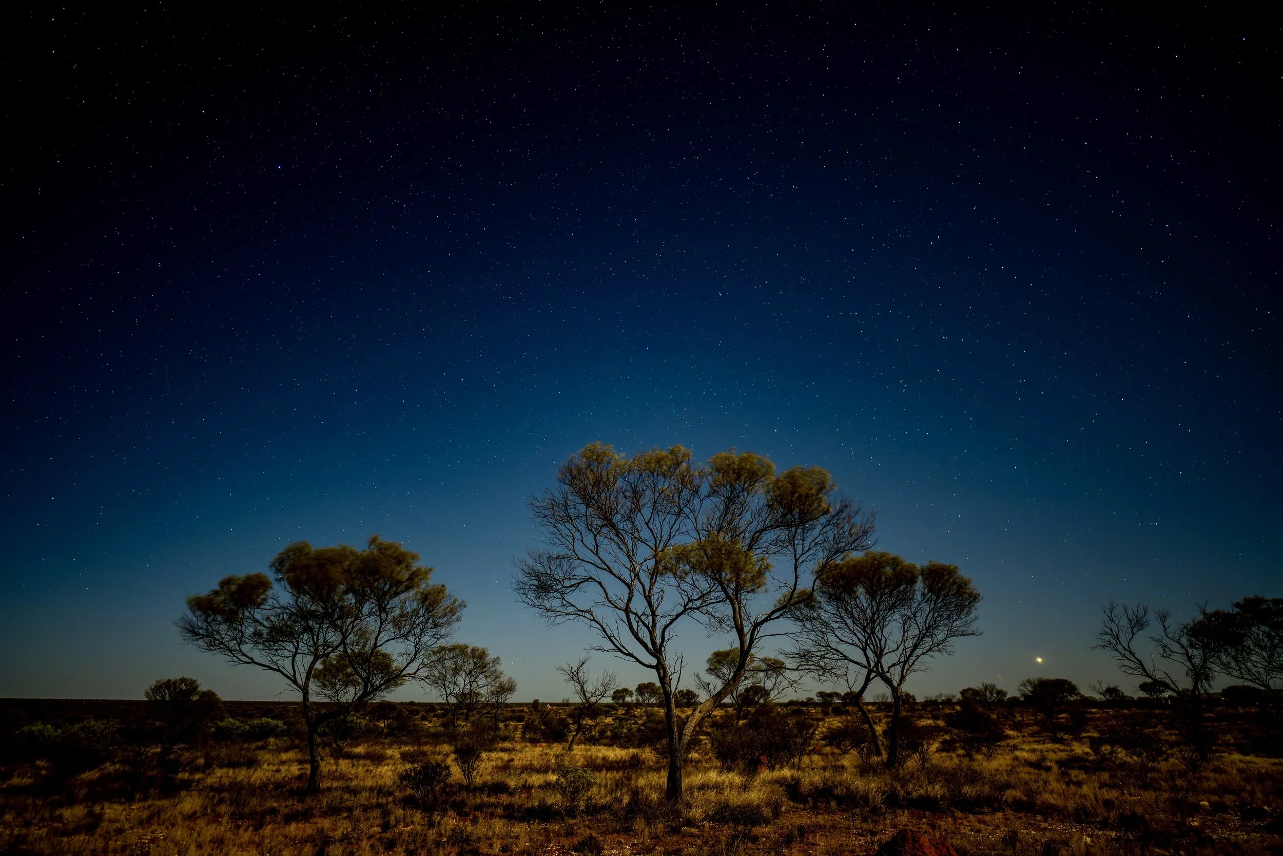 G119 - 8th of February  2025 19:56 - Night shot to the west - ISO 400 f/1.8 10sec
