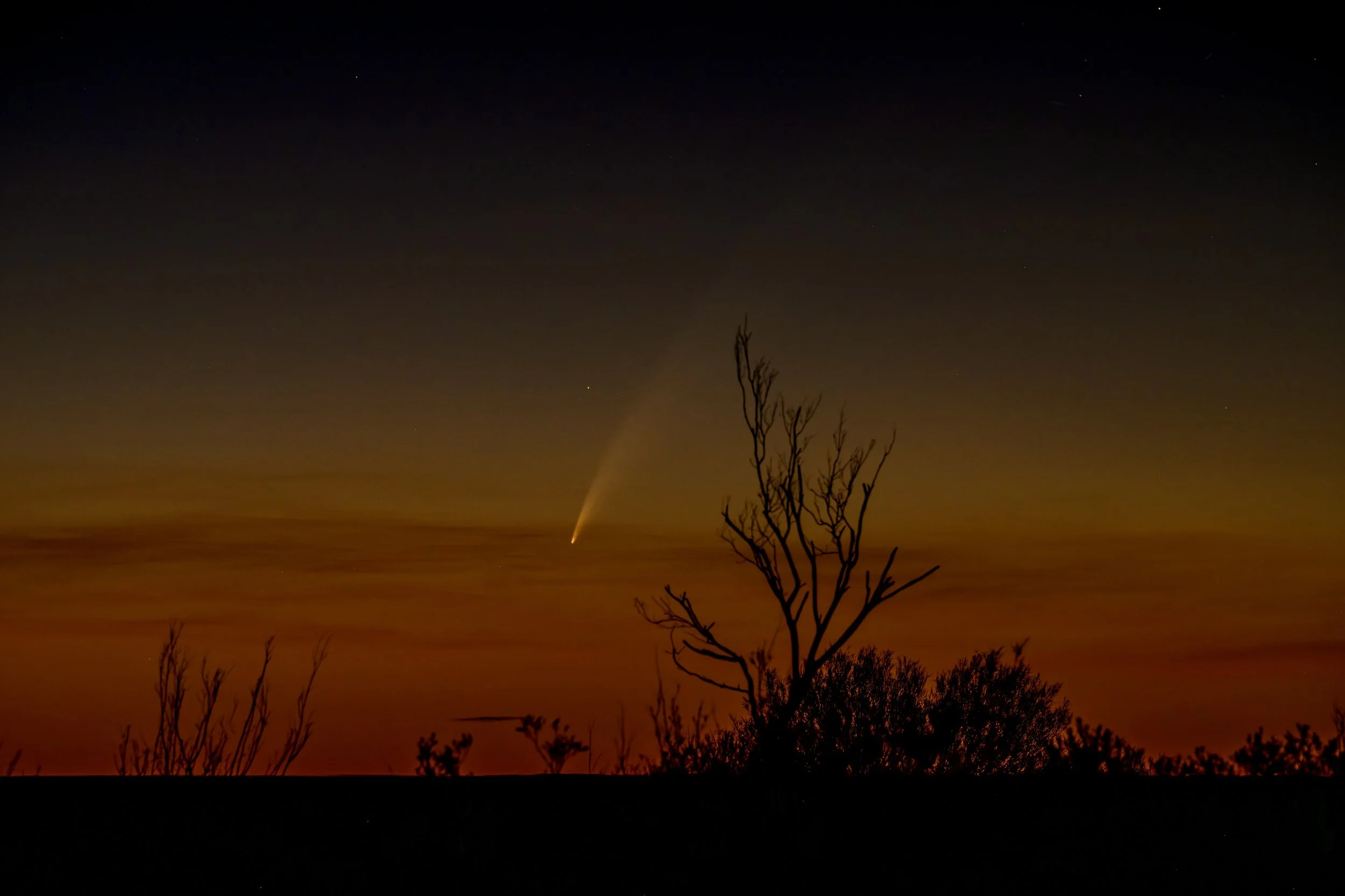 G133 -18th of January  2025 19:17 - Sunset glow with C/2024 G3(ATLAS) comet 