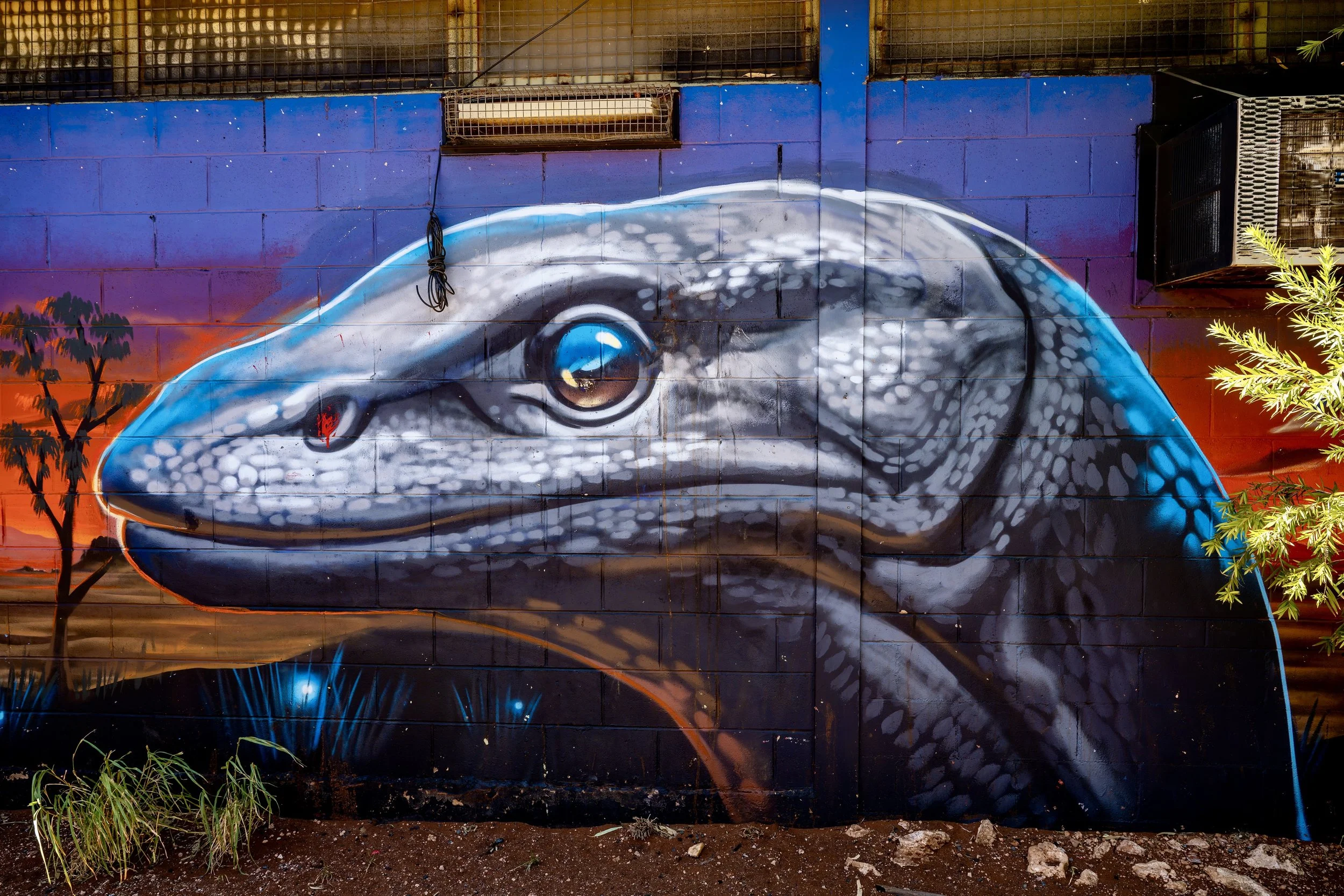 G138 - 28th of January  2025 13:04 - Art work on the Papulankutja (Blackstone) commumity store.