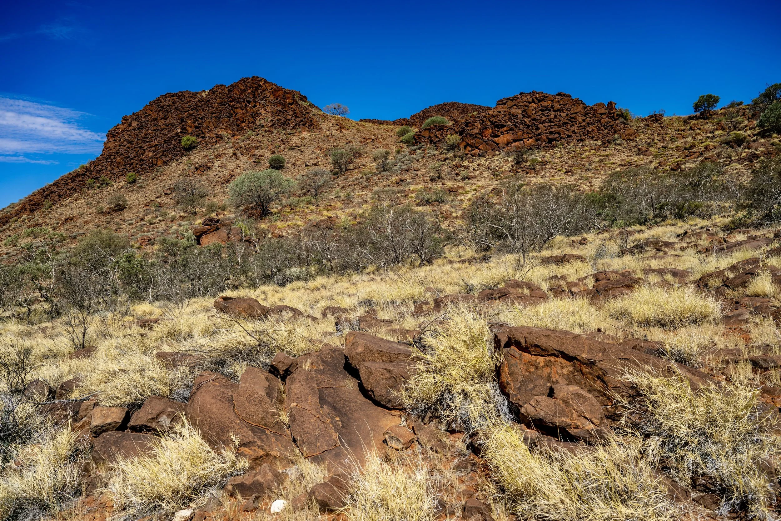 G139 - 28th of January  2025 14:25 - Blackstone Range