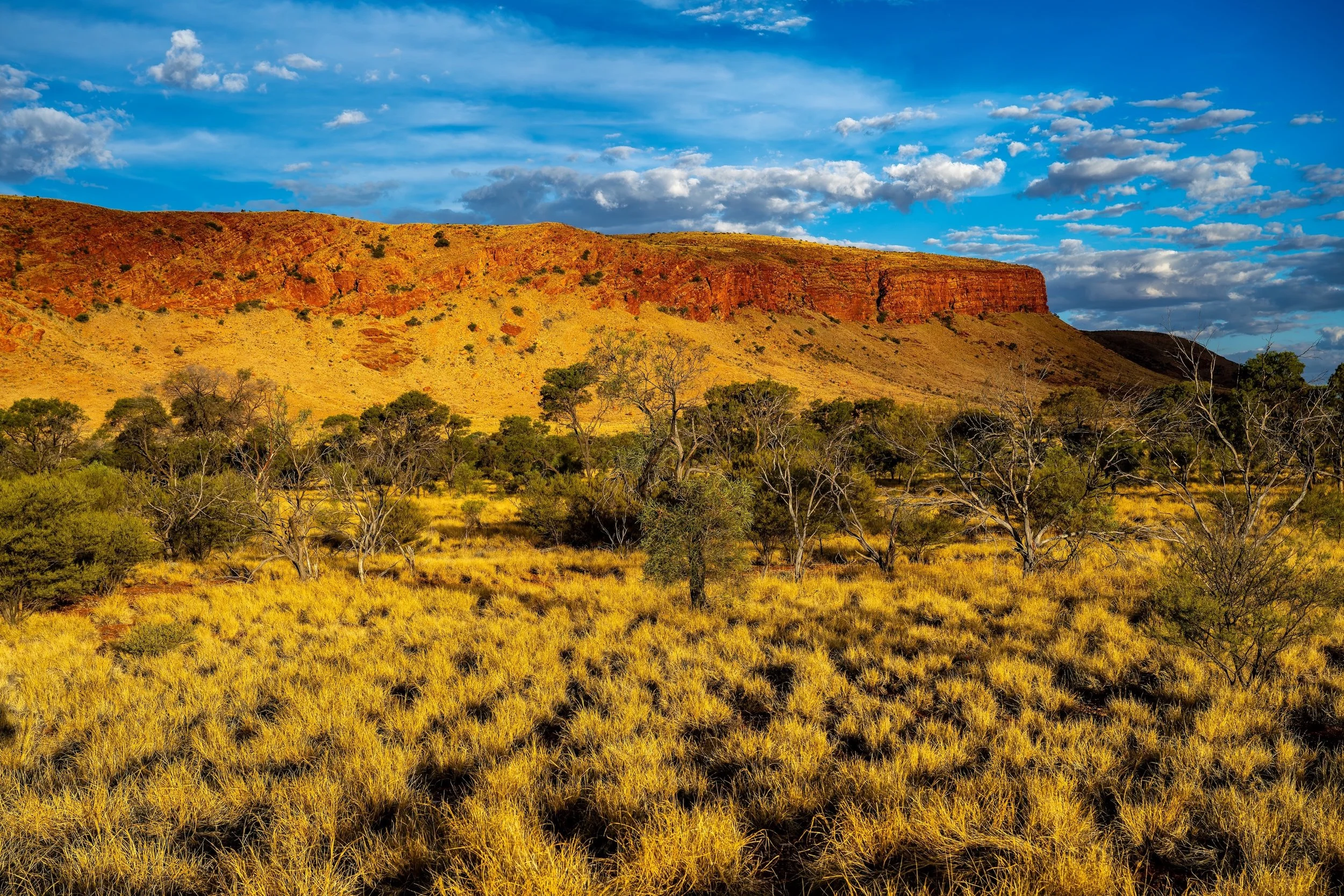 G144 - 9th of February 2025 17:32 - Golden hour over Purli Yurliya (Rawlinson Ranges) west of the Gap..