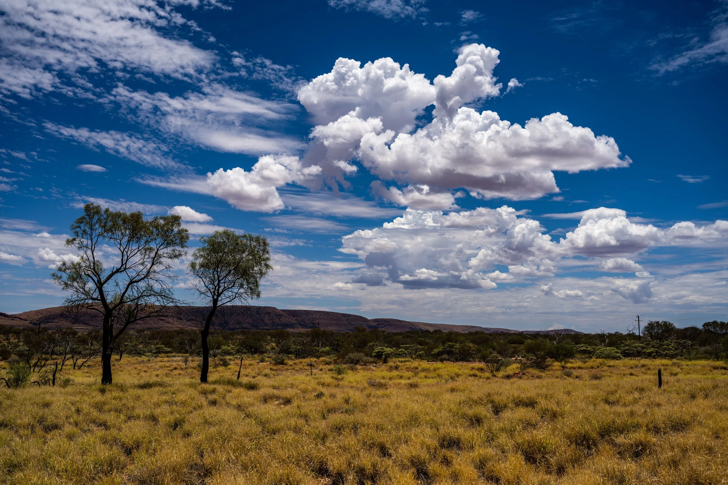 G155 - 9th of January  2025 11:08 - High cumulus cloud over Purli Yurliya (Rawlinson Ranges).