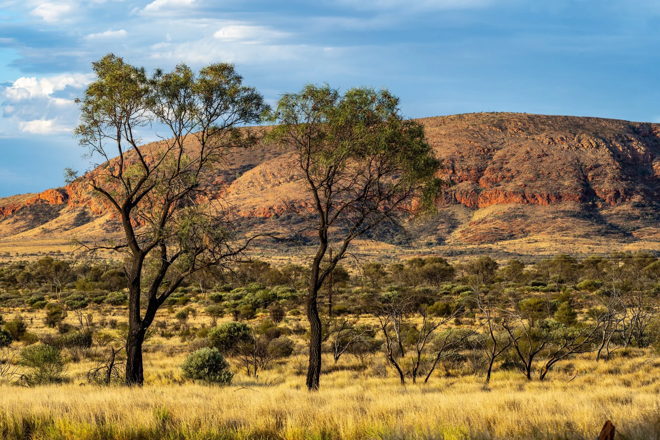 G159 - 23rd of January  2025 17:38 - Golden hour over Purli Yurliya (Rawlinson Ranges).