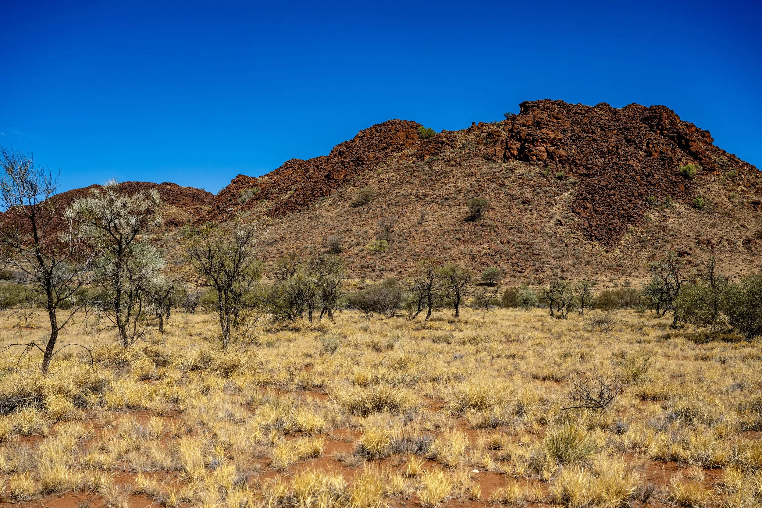 G163 - 28th of January  2025 14:10 - Blackstone Range