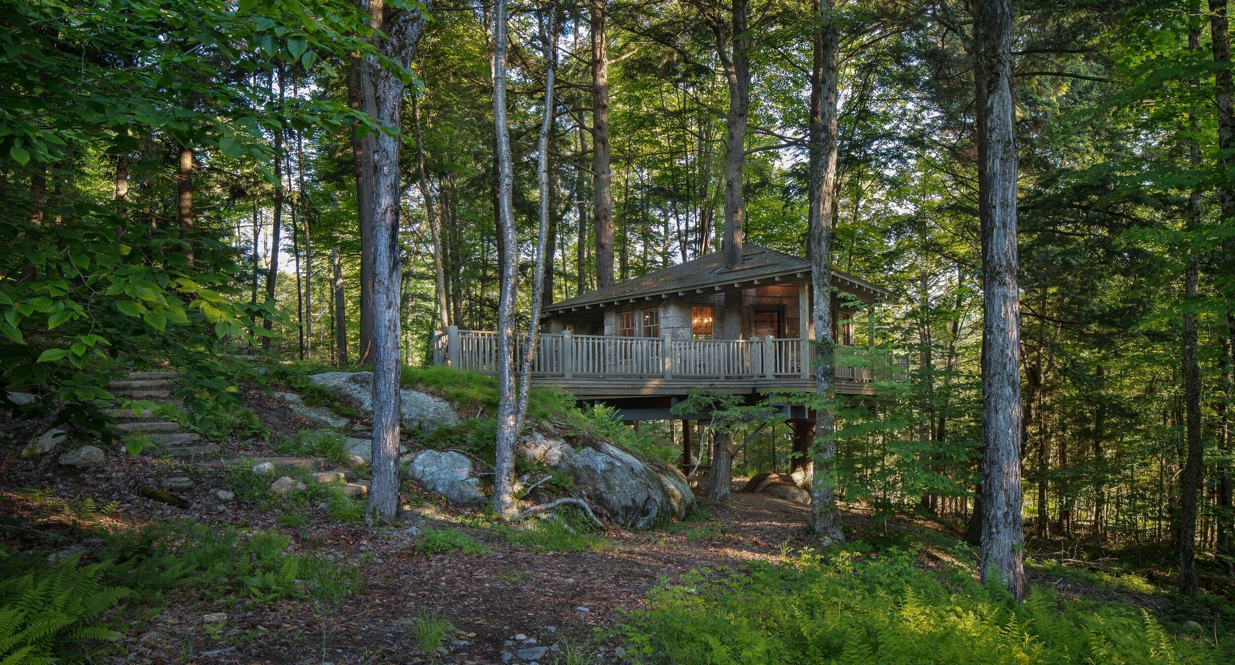 McNulty Treehouse_3041 crop.jpg