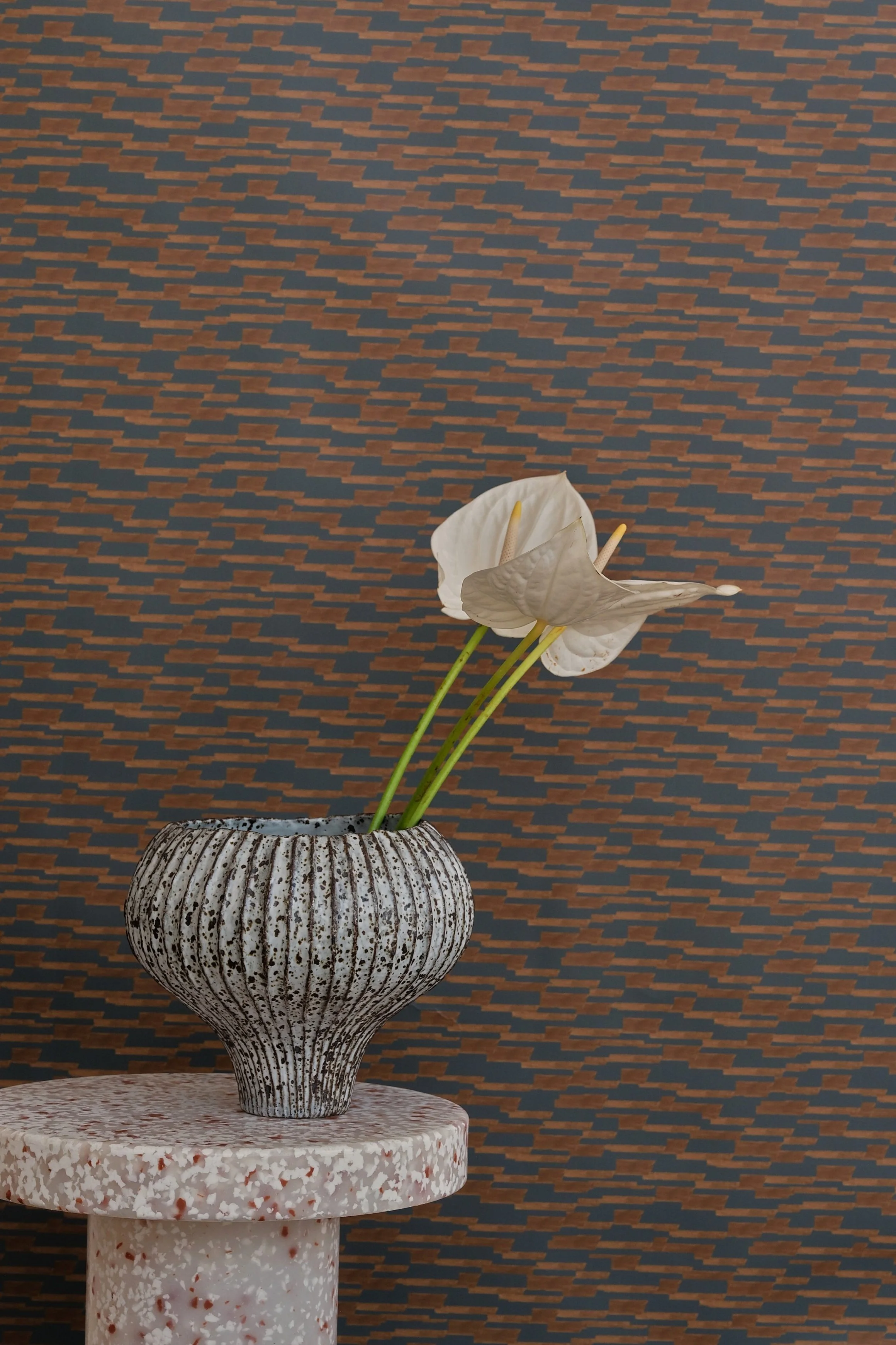 OatStudio_202530.jpg