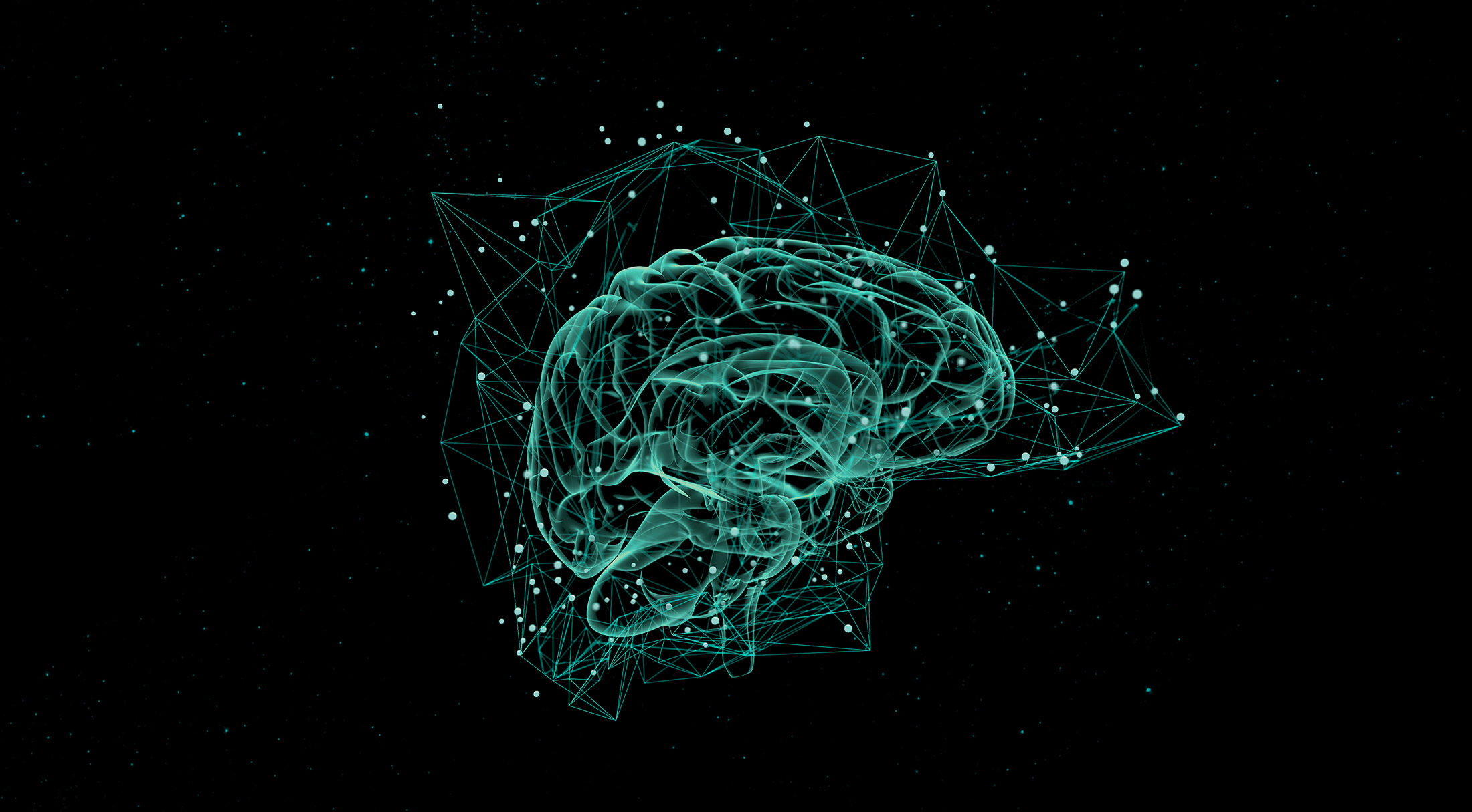Brain.jpg