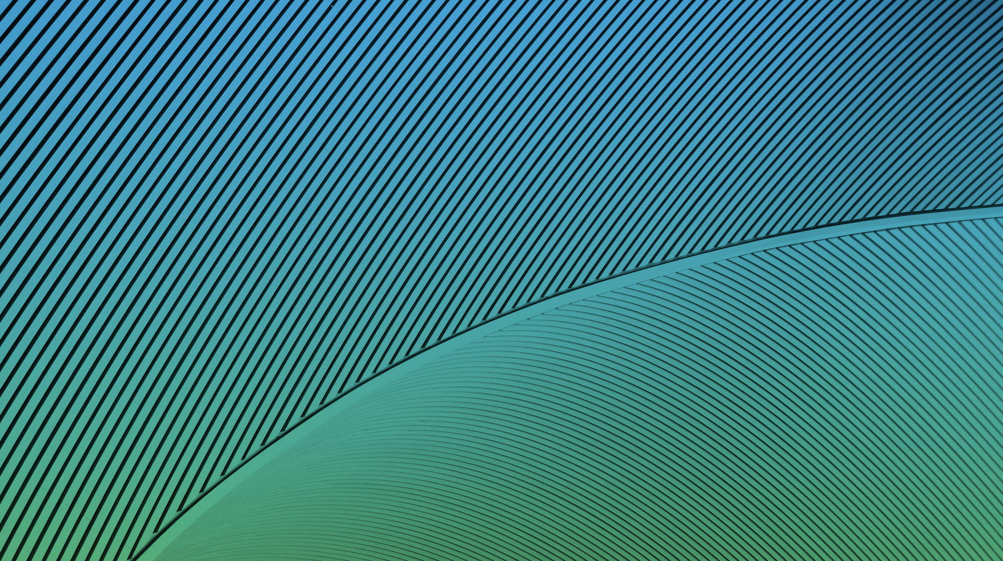 Visions of Creativity