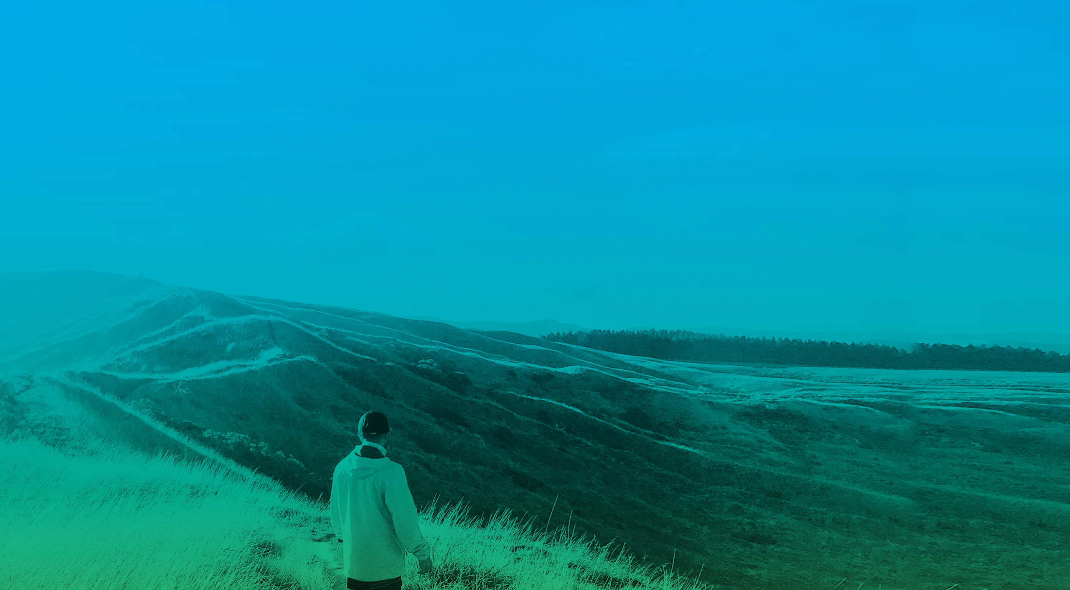 Discovering the Passion and Well-Being in Our Work