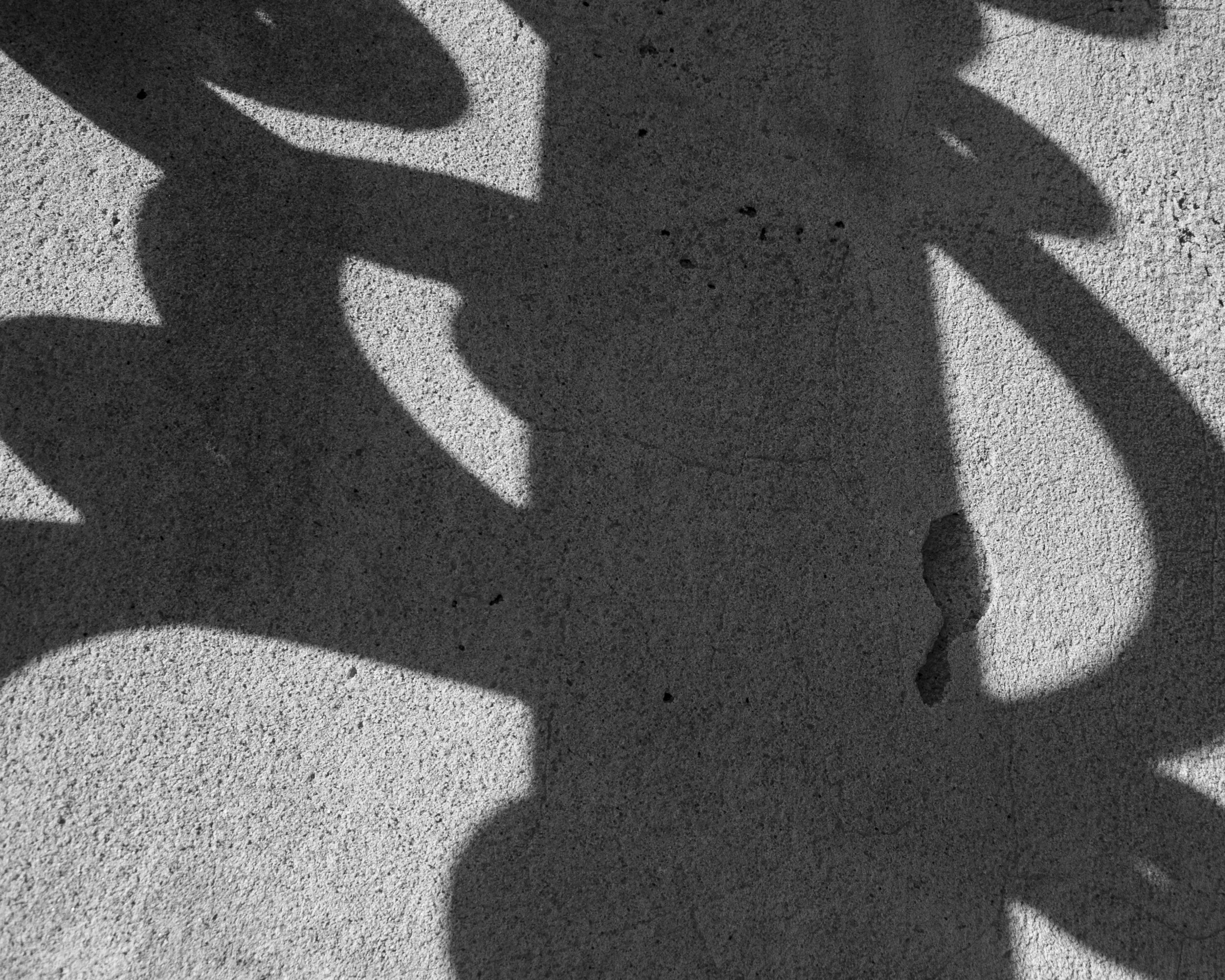 Shadow Scroll
