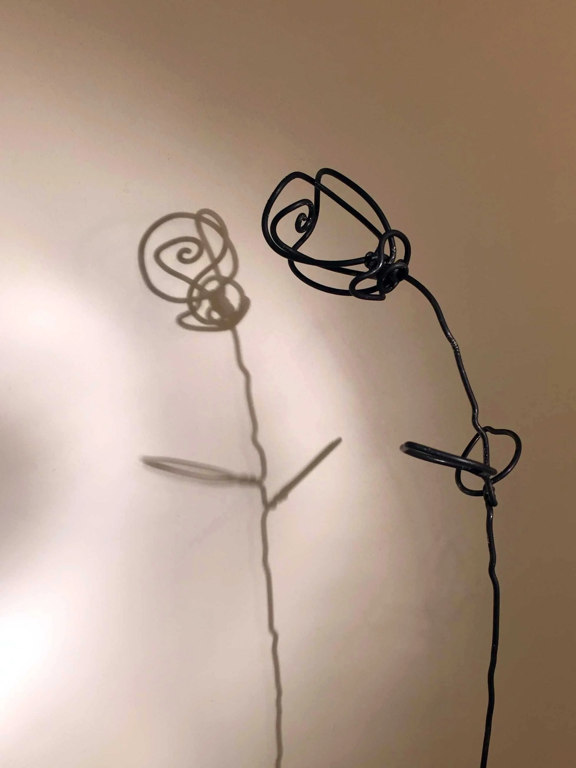 rosie.jpg