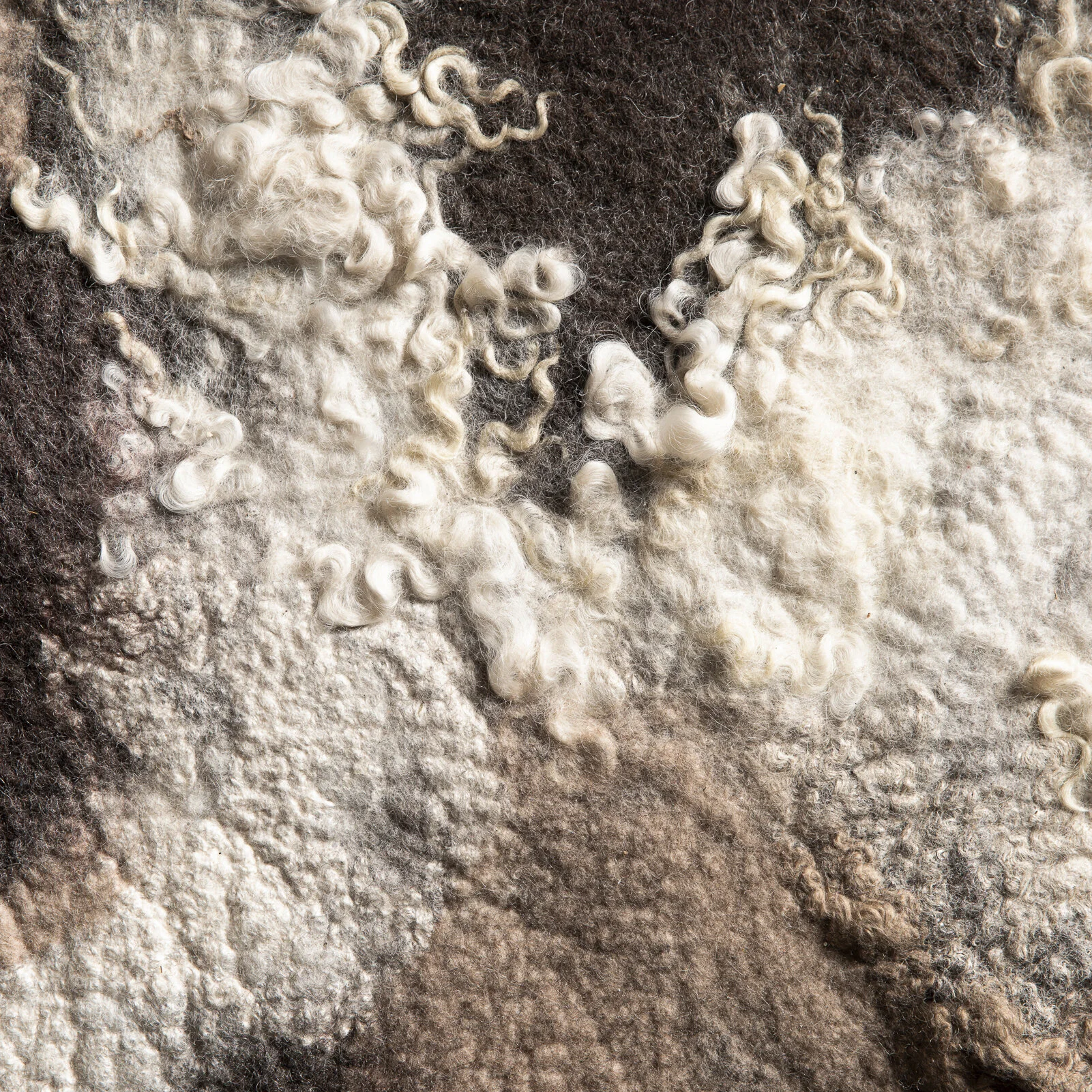 Field Rug 2 - Web.jpg