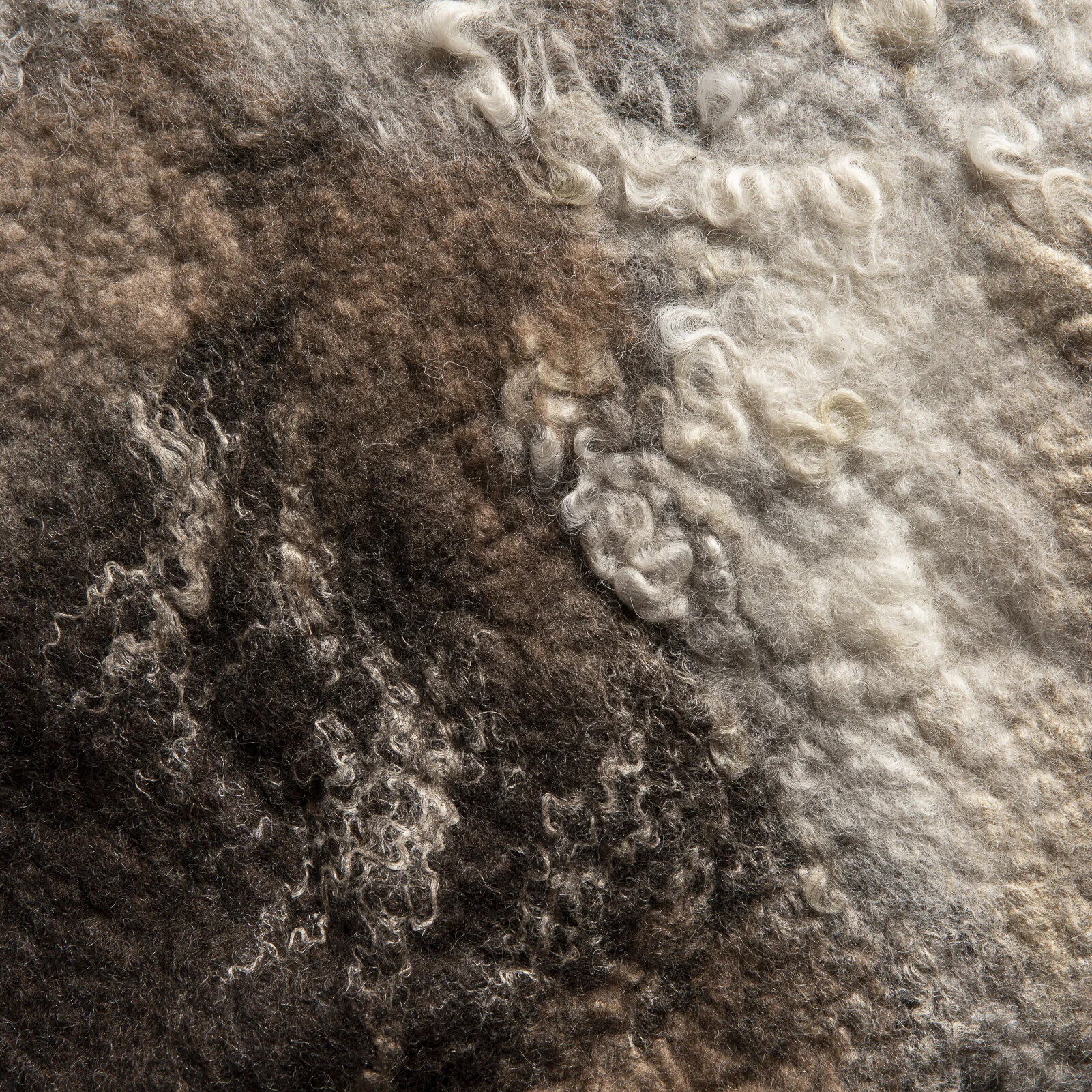 Field Rug 1 - Web.jpg