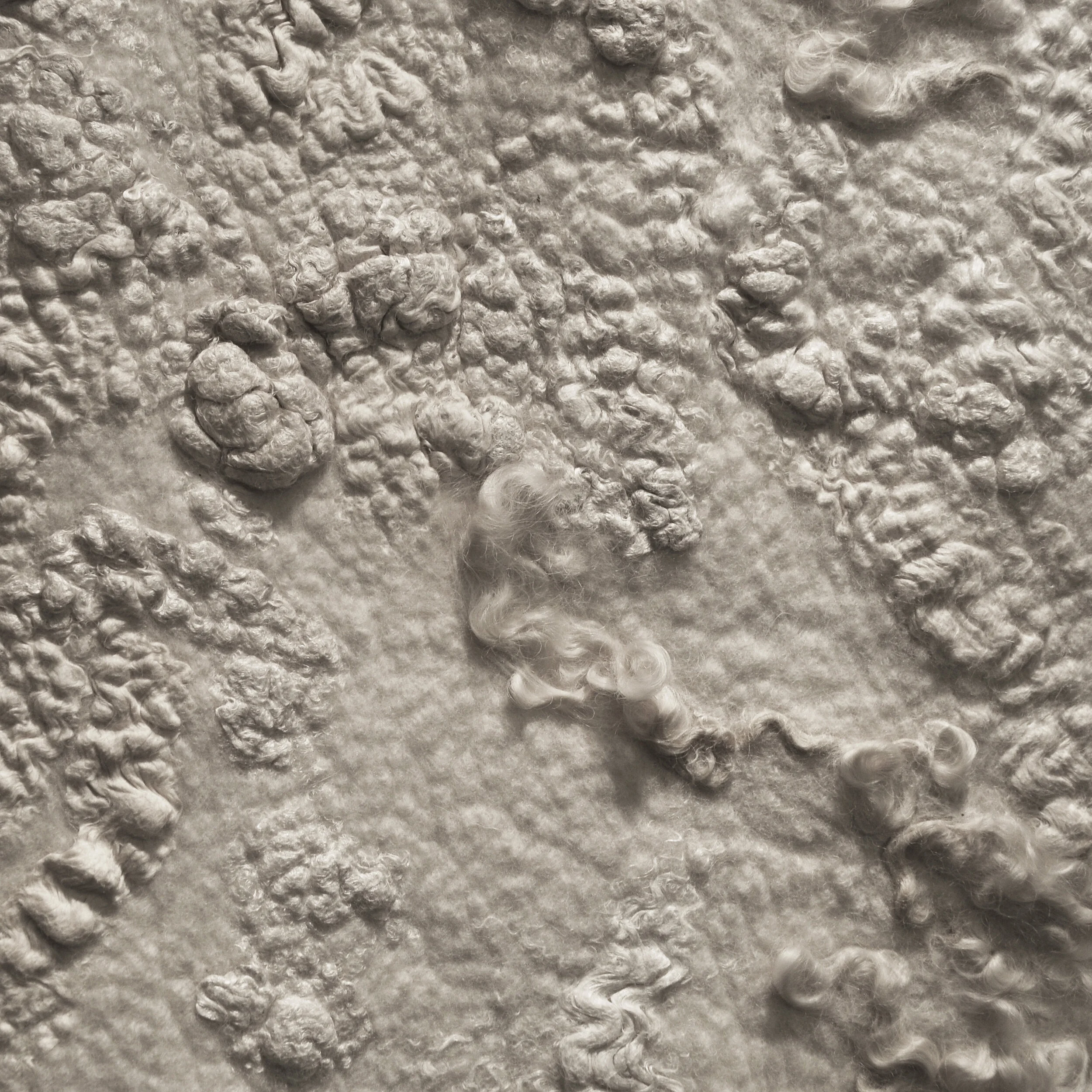 Pellicle 1 - Web.jpg