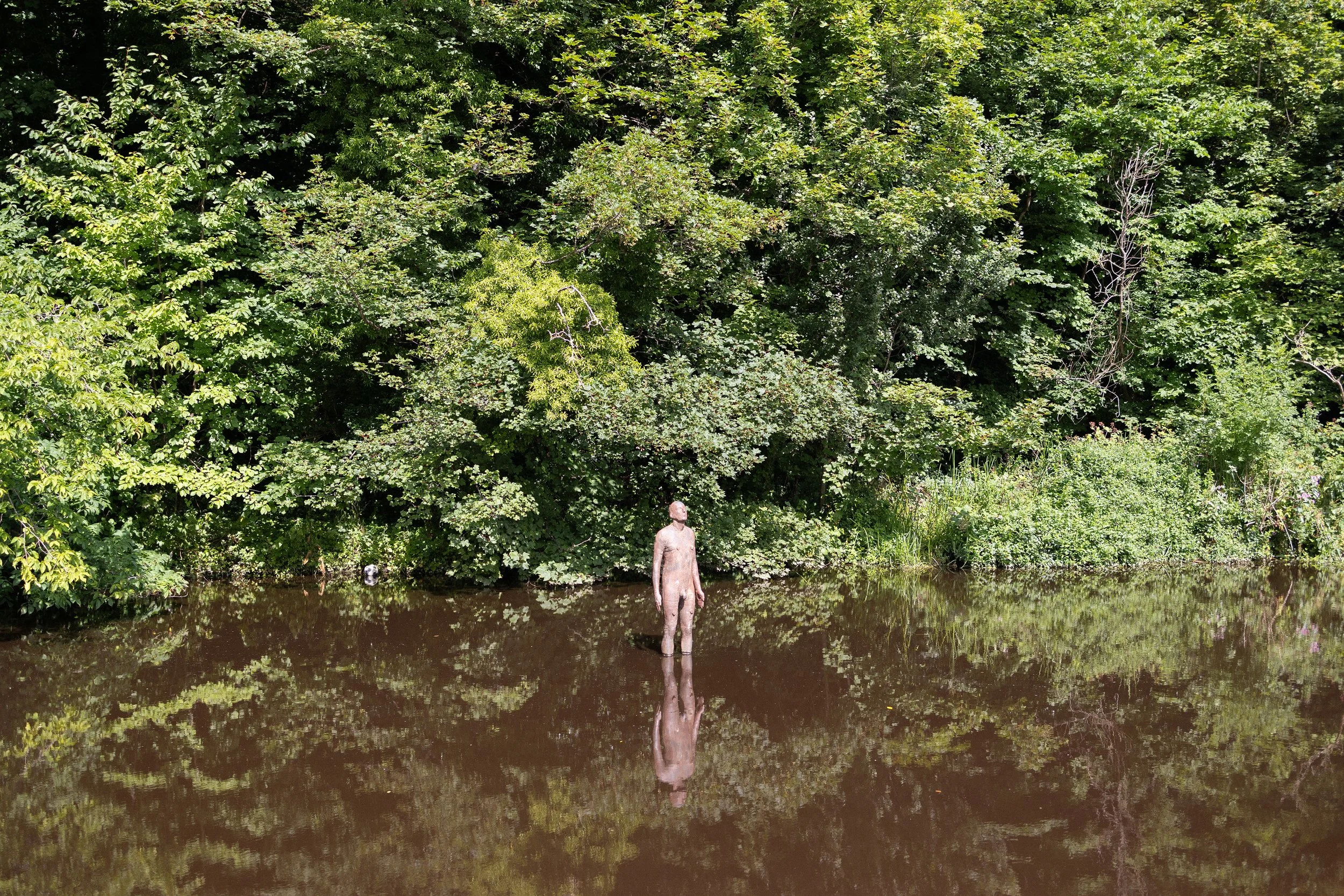 day 226-2_smaller.jpg