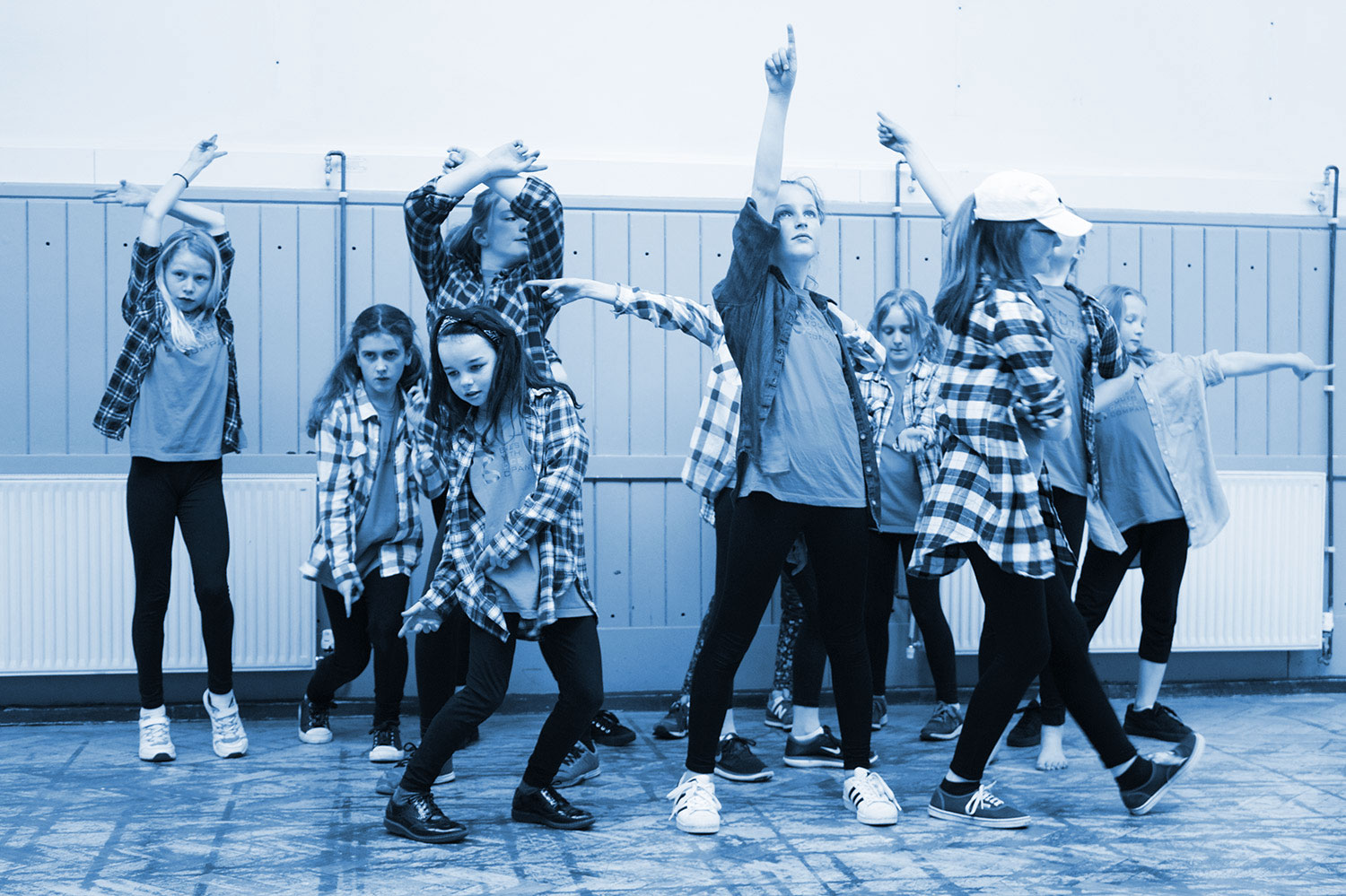 budc-zing-blue.jpg