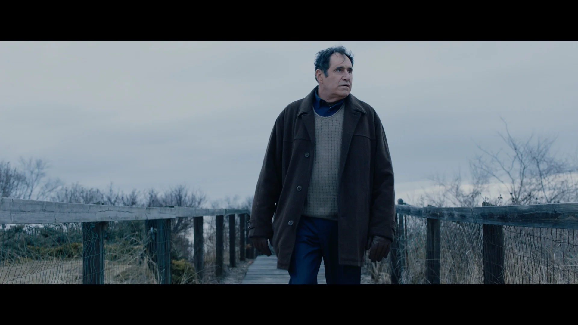 Auggie Still 71.JPG