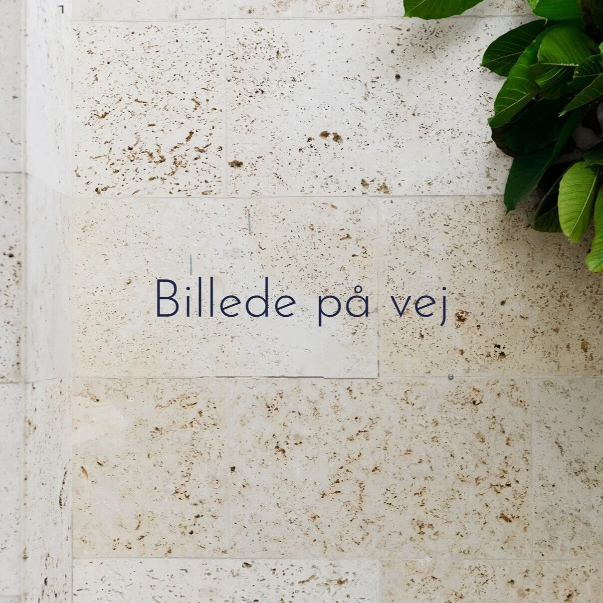 billede-p%C3%A5-vej_web.jpg