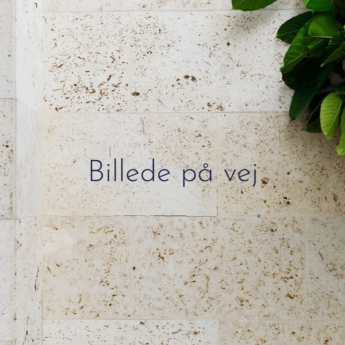 billede-p%C3%A5-vej_web.jpg