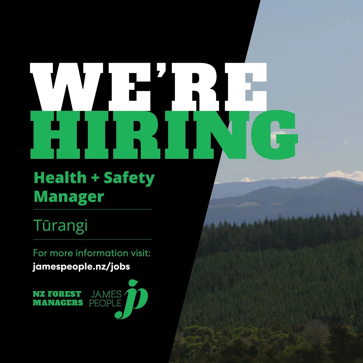 🌲 Live and work in the North Island's playground (Tūrangi office)
🌲 Work in a down-to-earth team focused on bringing value to forest owners
🌲 Lead Health &amp; Safety across the NZFM team, properties and contractors

Discover more and apply here: 
