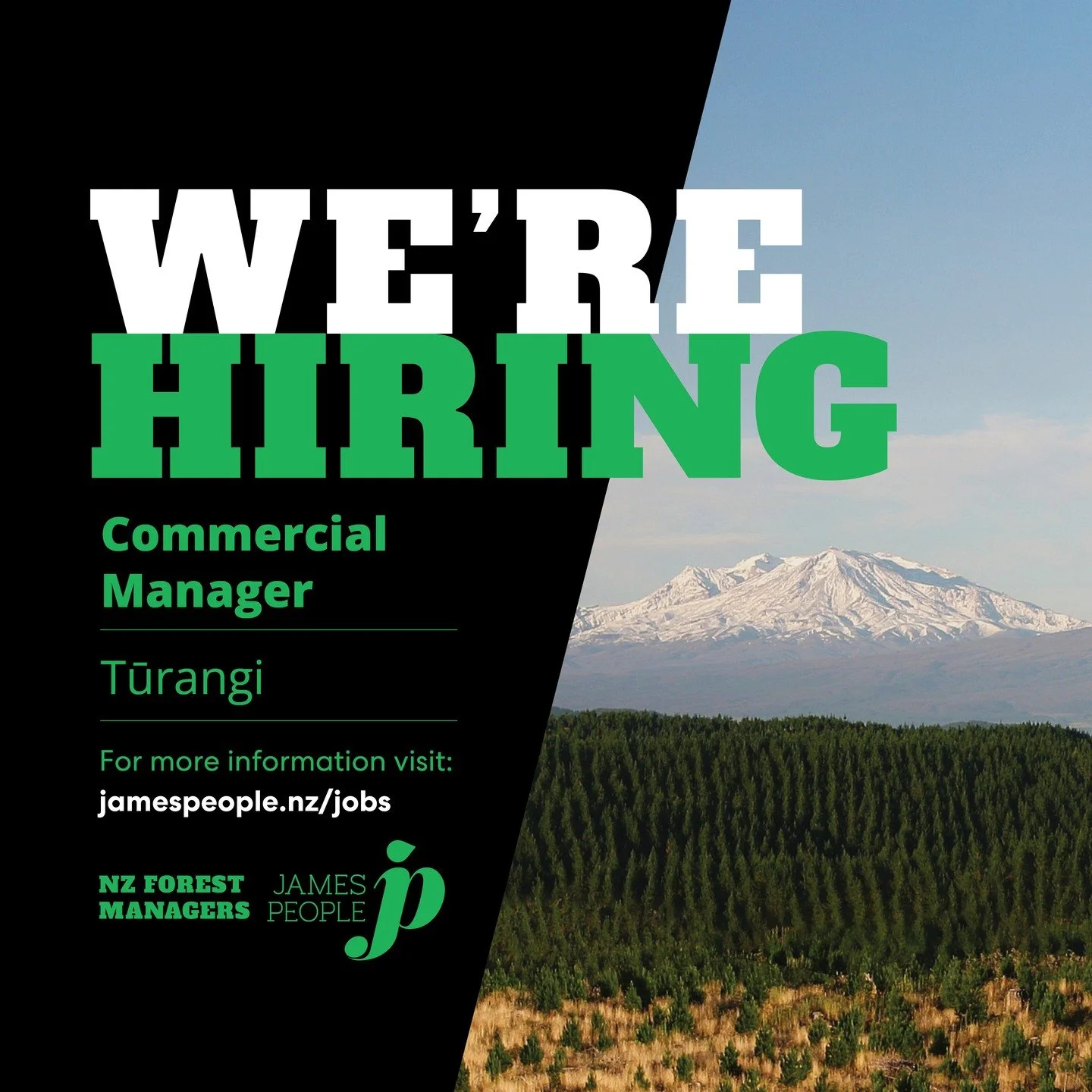 Join a great team based in Tūrangi managing over 70,000 ha of forests in the North Island!
🌲
Find out more and apply: jamespeople.nz/jobs