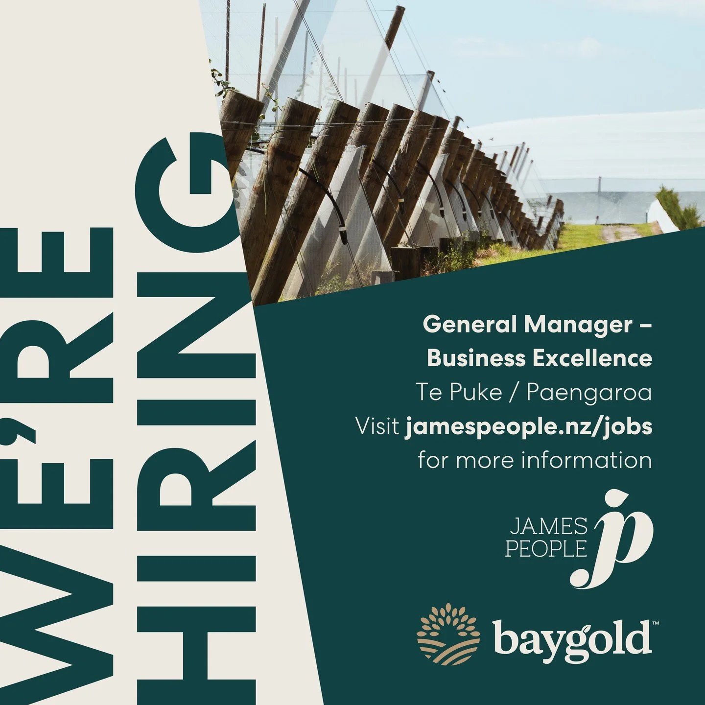 Are you the kind of leader who lifts the bar - and the people around you?
Do you have a skill for turning good into great?
We are looking for a General Manager - Business Excellence to drive improvement, sharpen systems and create impact beyond the o