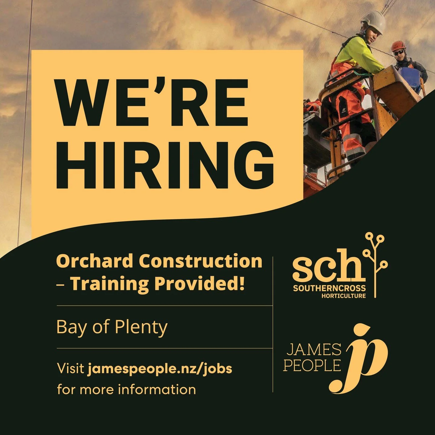 Are you in the Bay of Plenty or looking for a move? Love working outdoors?
Join Southern Cross Horticulture in the Bay of Plenty!
Help build world-class kiwifruit orchards and grow your skills with a down-to-earth, supportive team.

📍 Maketu / Pukeh