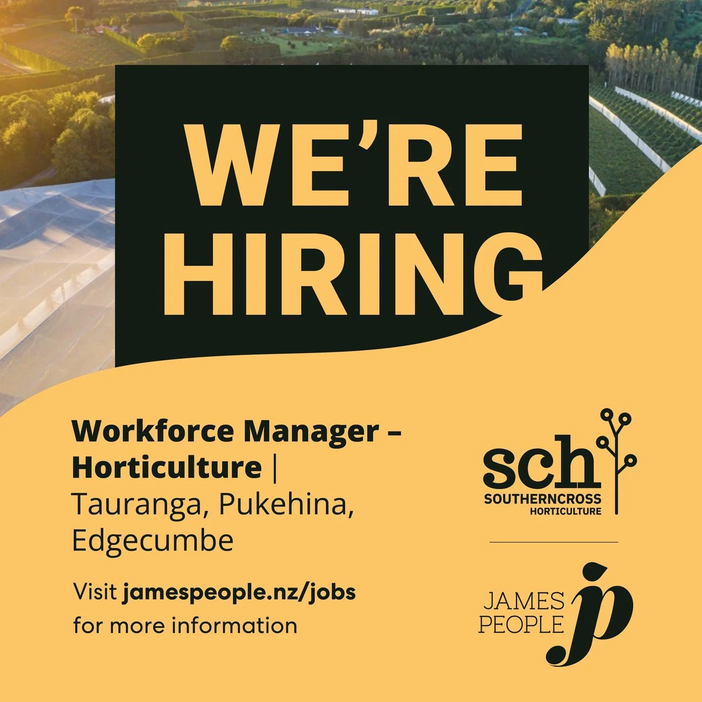 This is an amazing opportunity if you have a mix of experience in HR and planning, and have an interest in horticulture 🥝.

There are big plans for this role at Southern Cross Horticulture, so apply now or tag a friend that might be interested!