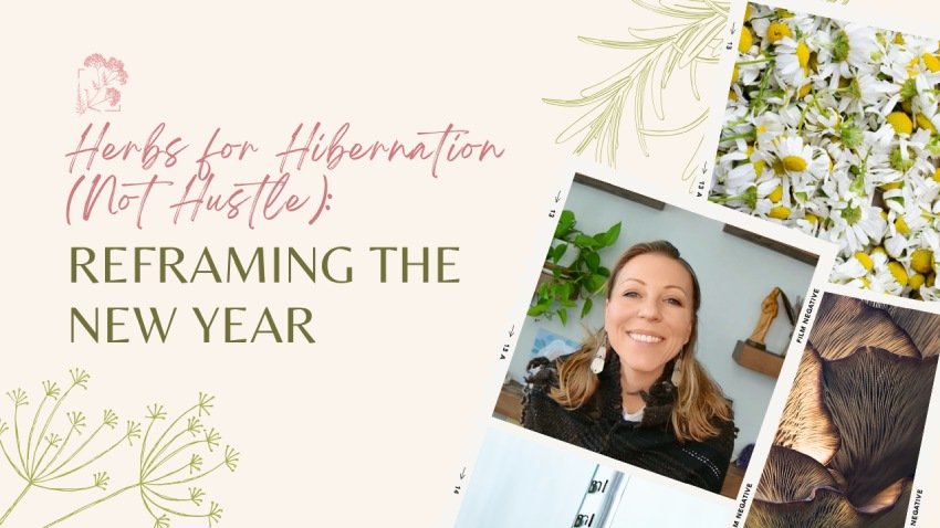 Herbs for Hibernation (Not Hustle): Reframing the New Year