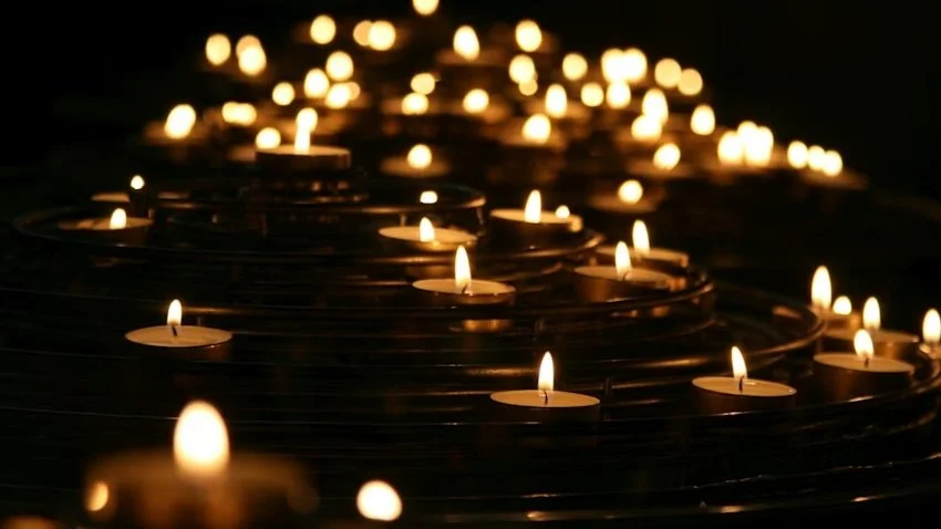 Minnesota in Crisis: An Herbalists On the Ground Reflection