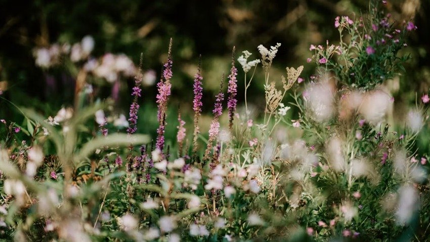 Savoring the End: When Life Makes You Wait